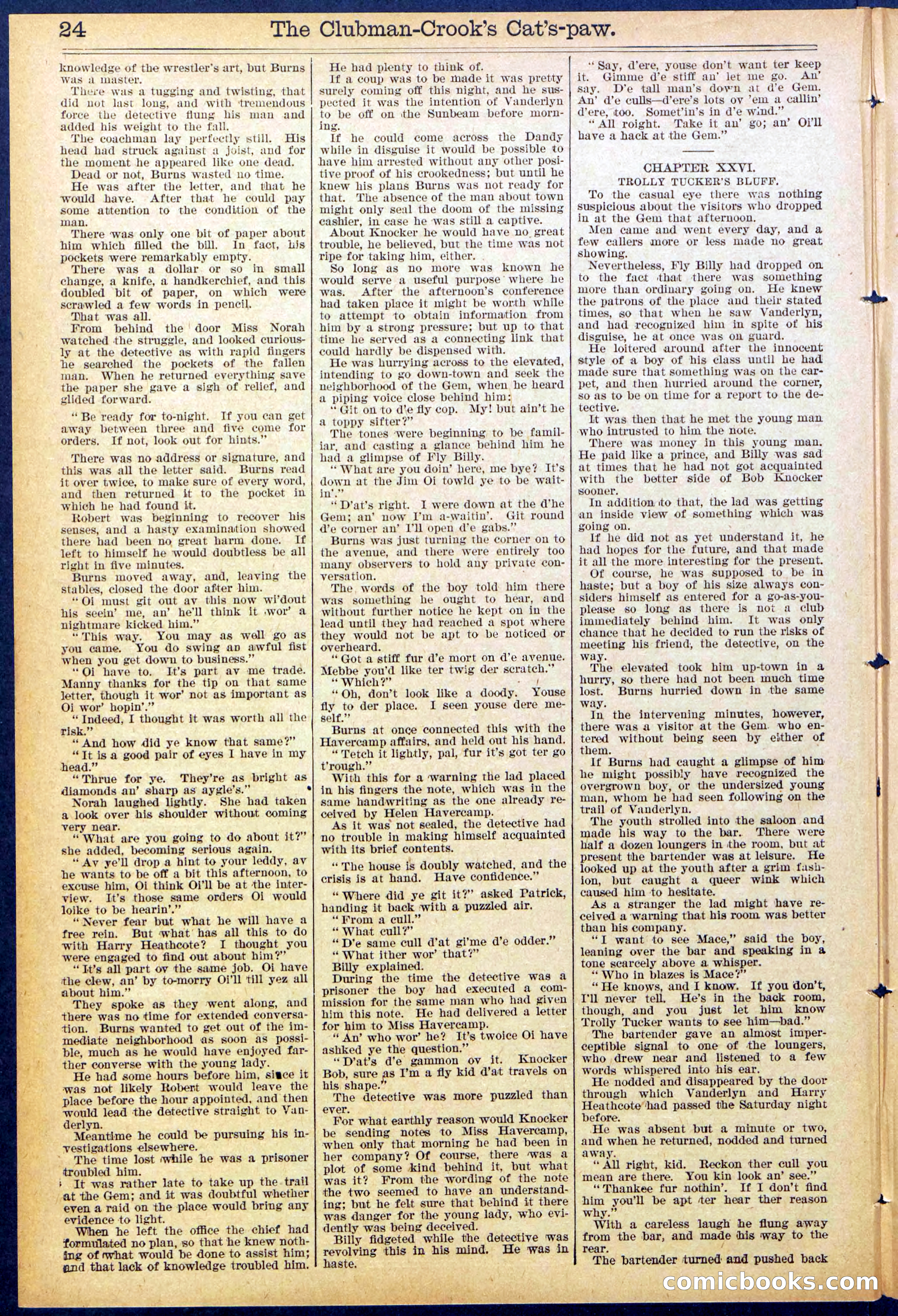 Beadle's New York Dime Library, No. 881 — page 24 of 32