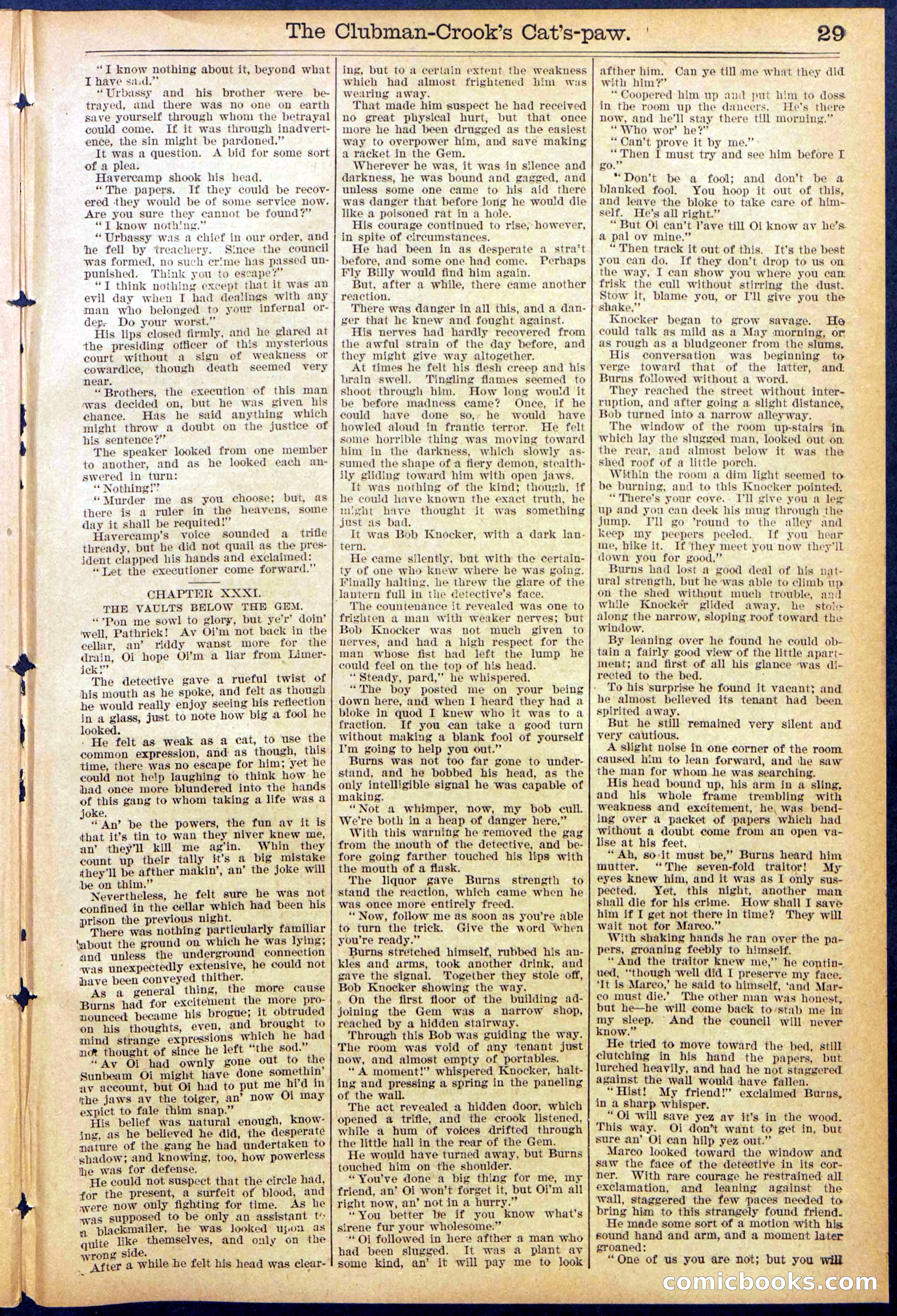 Beadle's New York Dime Library, No. 881 — page 29 of 32
