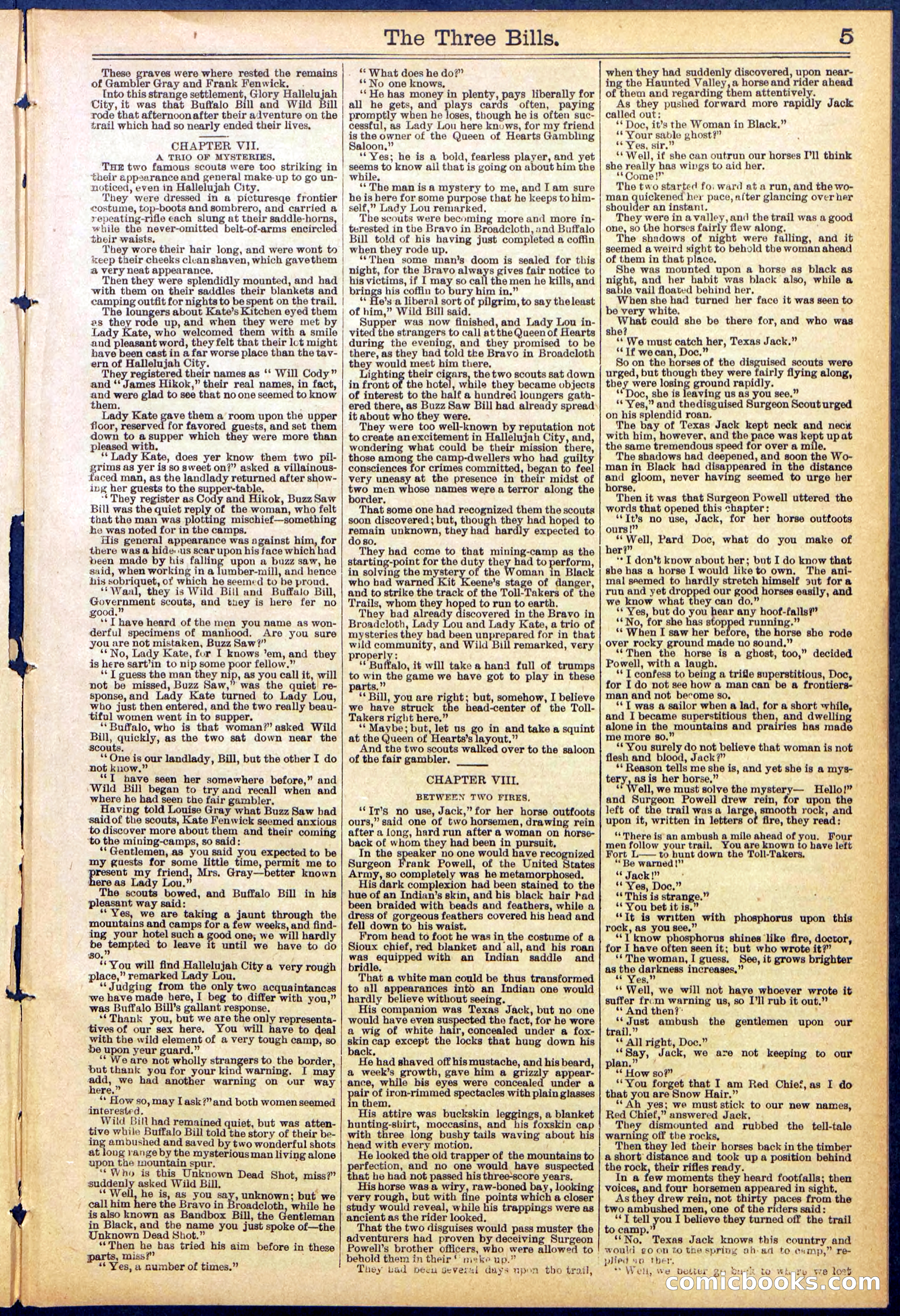 Beadle's New York Dime Library, No. 882 — page 5 of 32