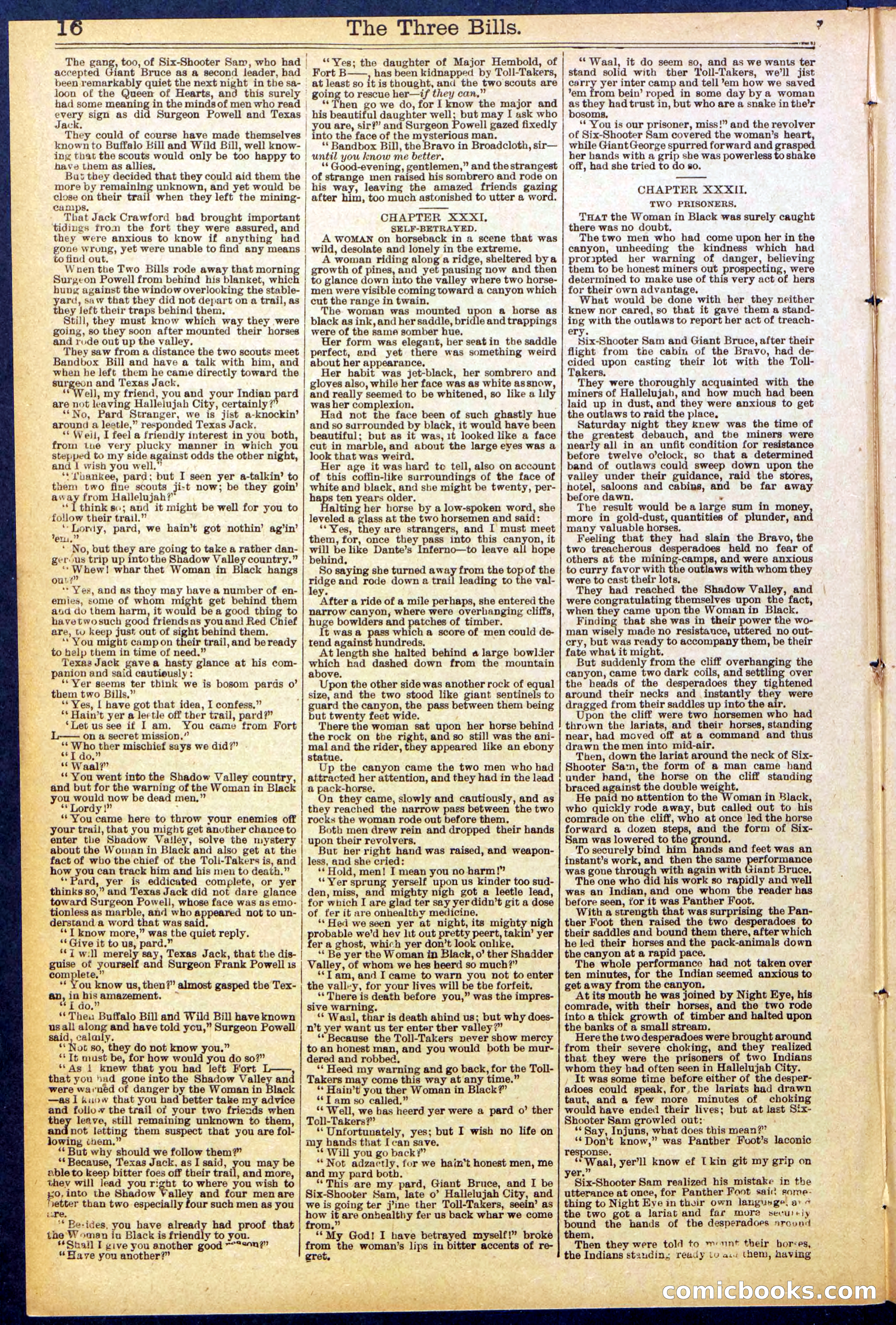Beadle's New York Dime Library, No. 882 — page 16 of 32