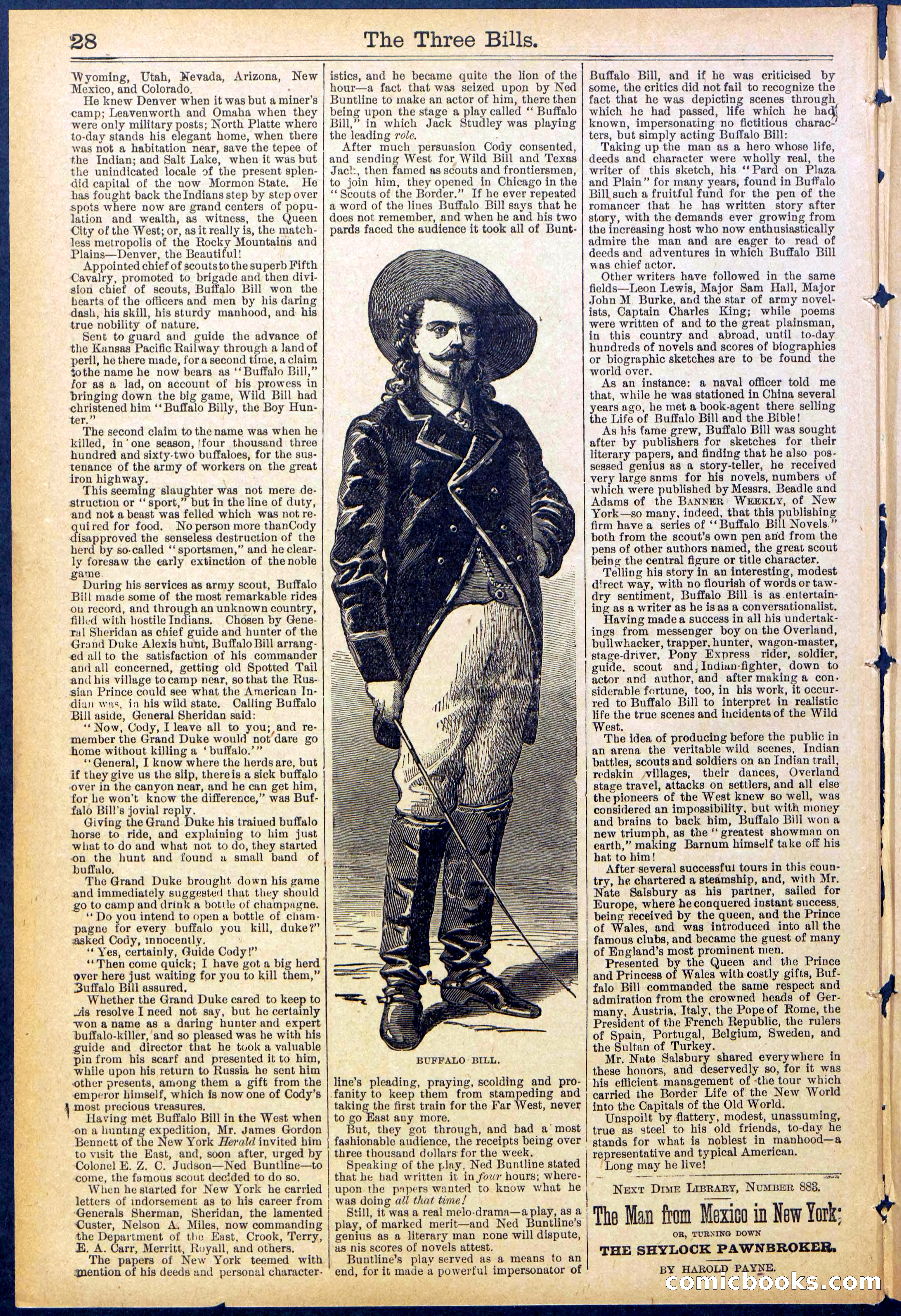 Beadle's New York Dime Library, No. 882 — page 28 of 32