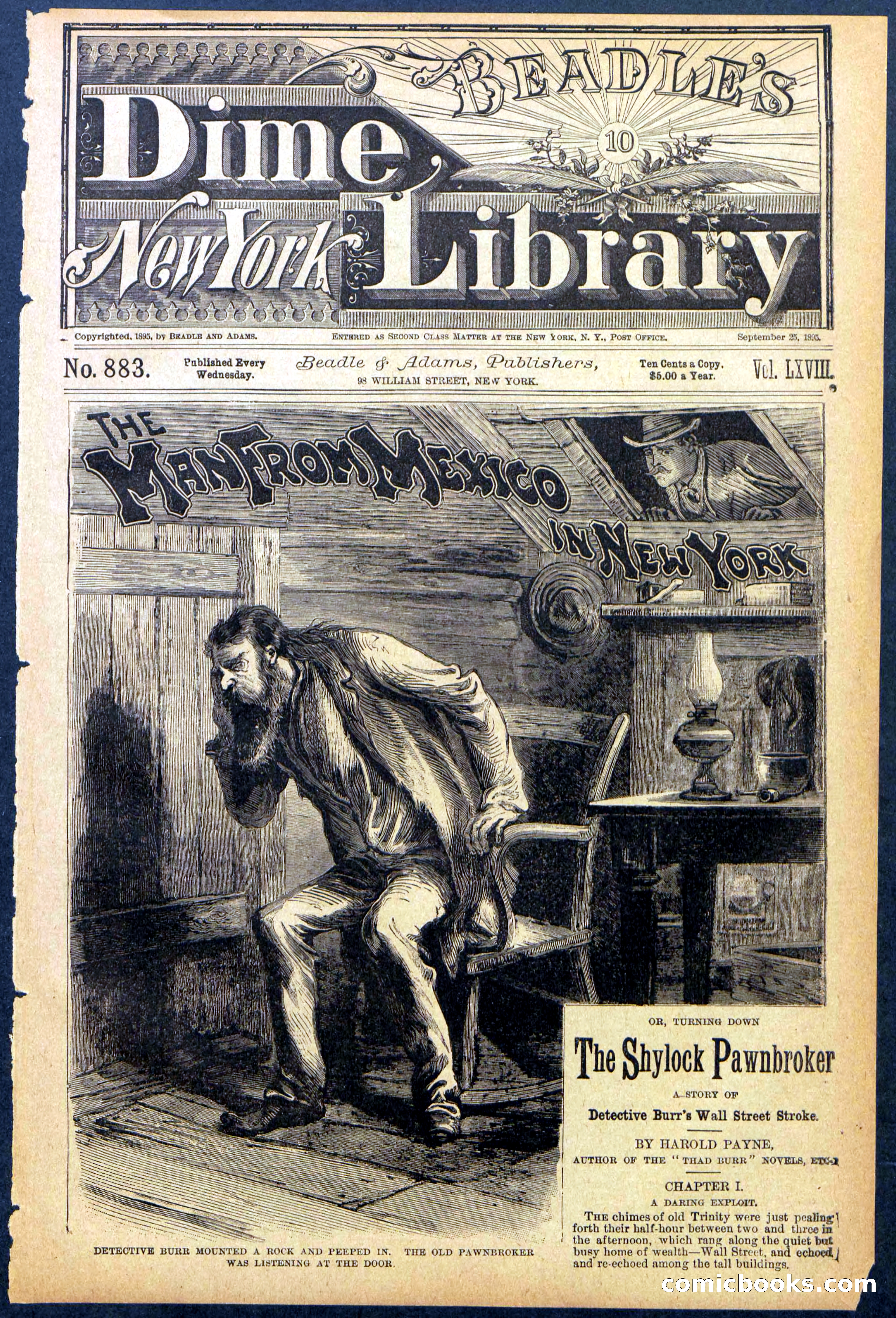 Beadle's New York Dime Library No. 883 — page 1 of 32