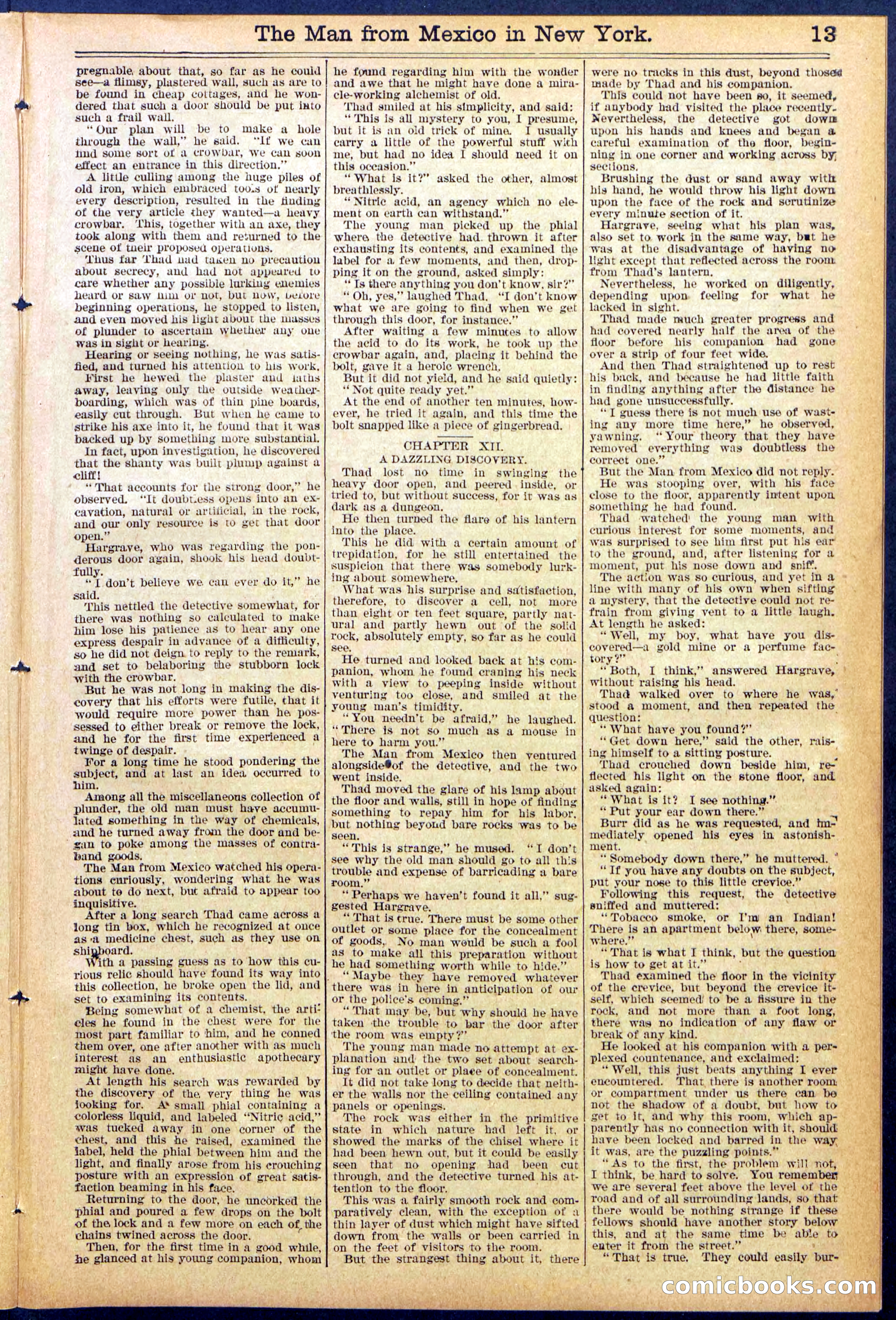 Beadle's New York Dime Library No. 883 — page 13 of 32
