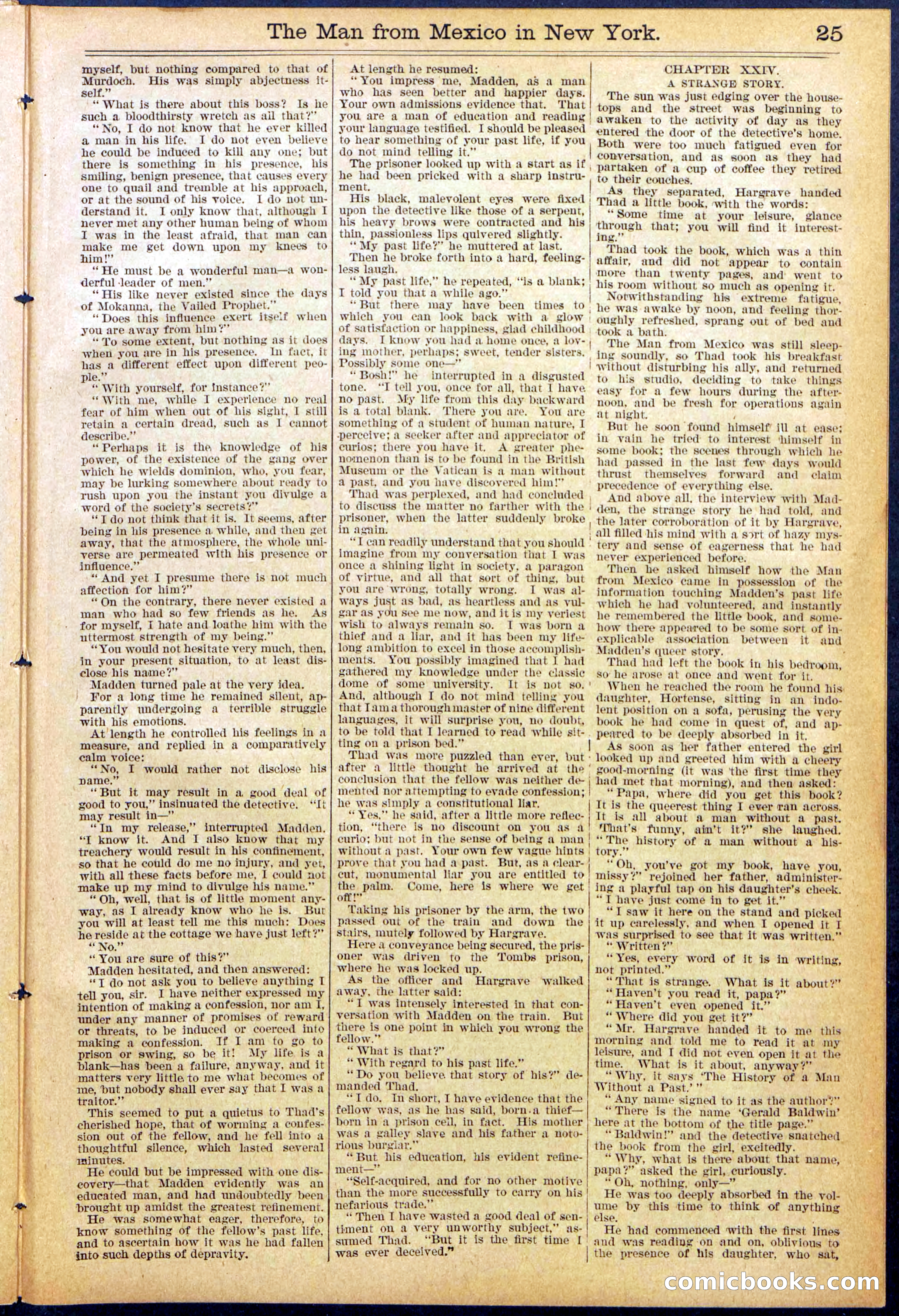 Beadle's New York Dime Library No. 883 — page 25 of 32