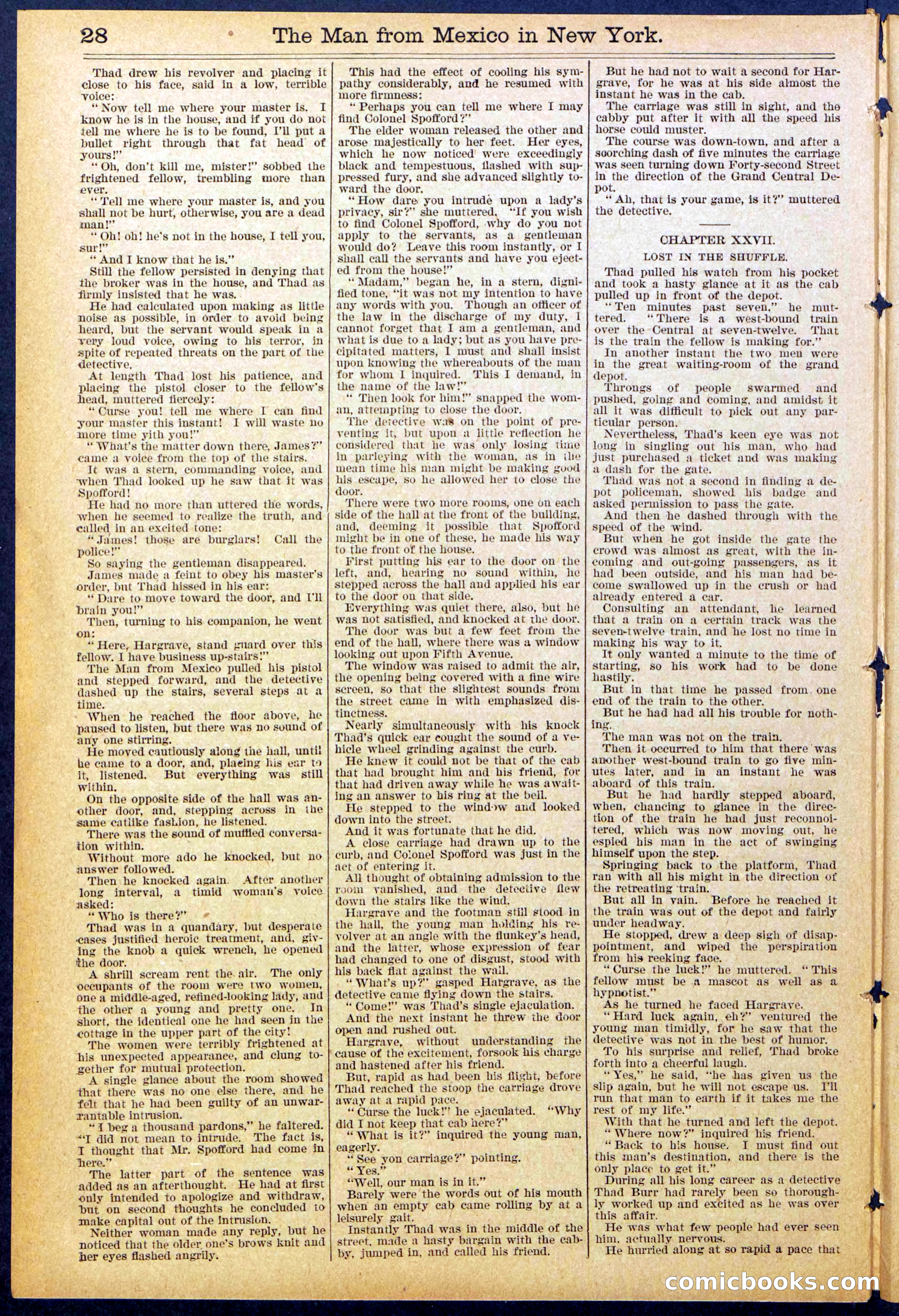 Beadle's New York Dime Library No. 883 — page 28 of 32