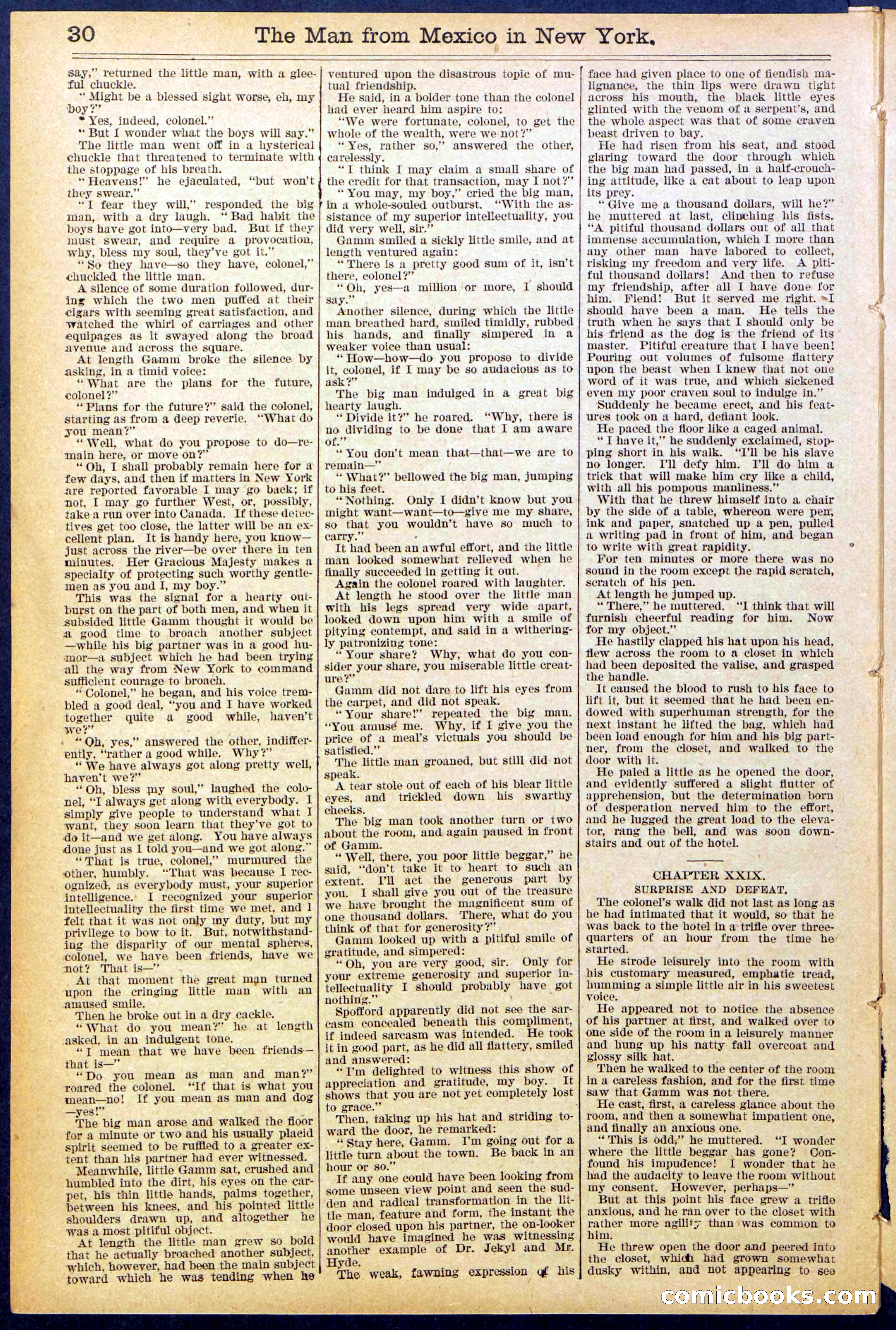 Beadle's New York Dime Library No. 883 — page 30 of 32