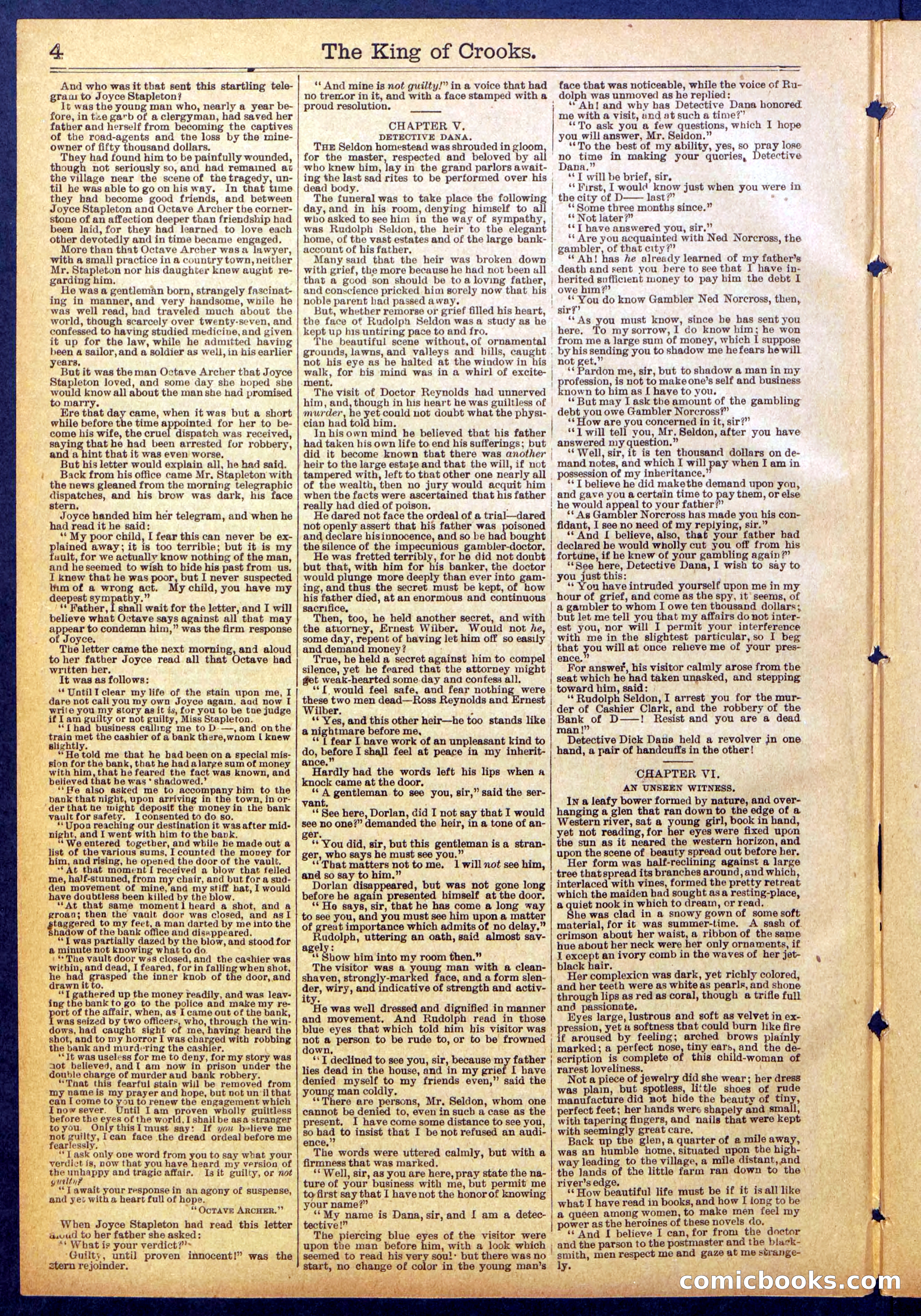 Beadle's New York Dime Library No. 886 — page 4 of 32