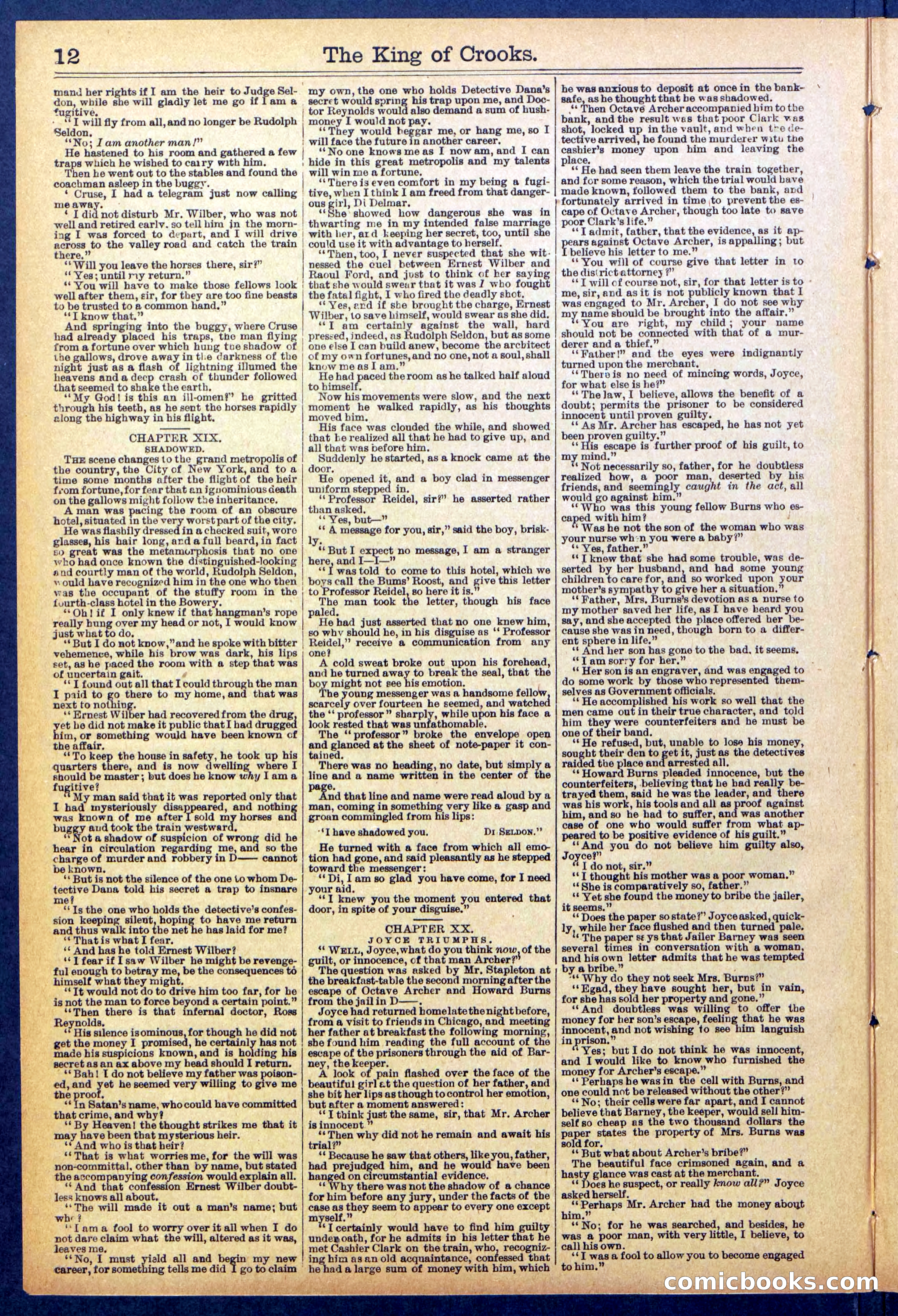 Beadle's New York Dime Library No. 886 — page 12 of 32