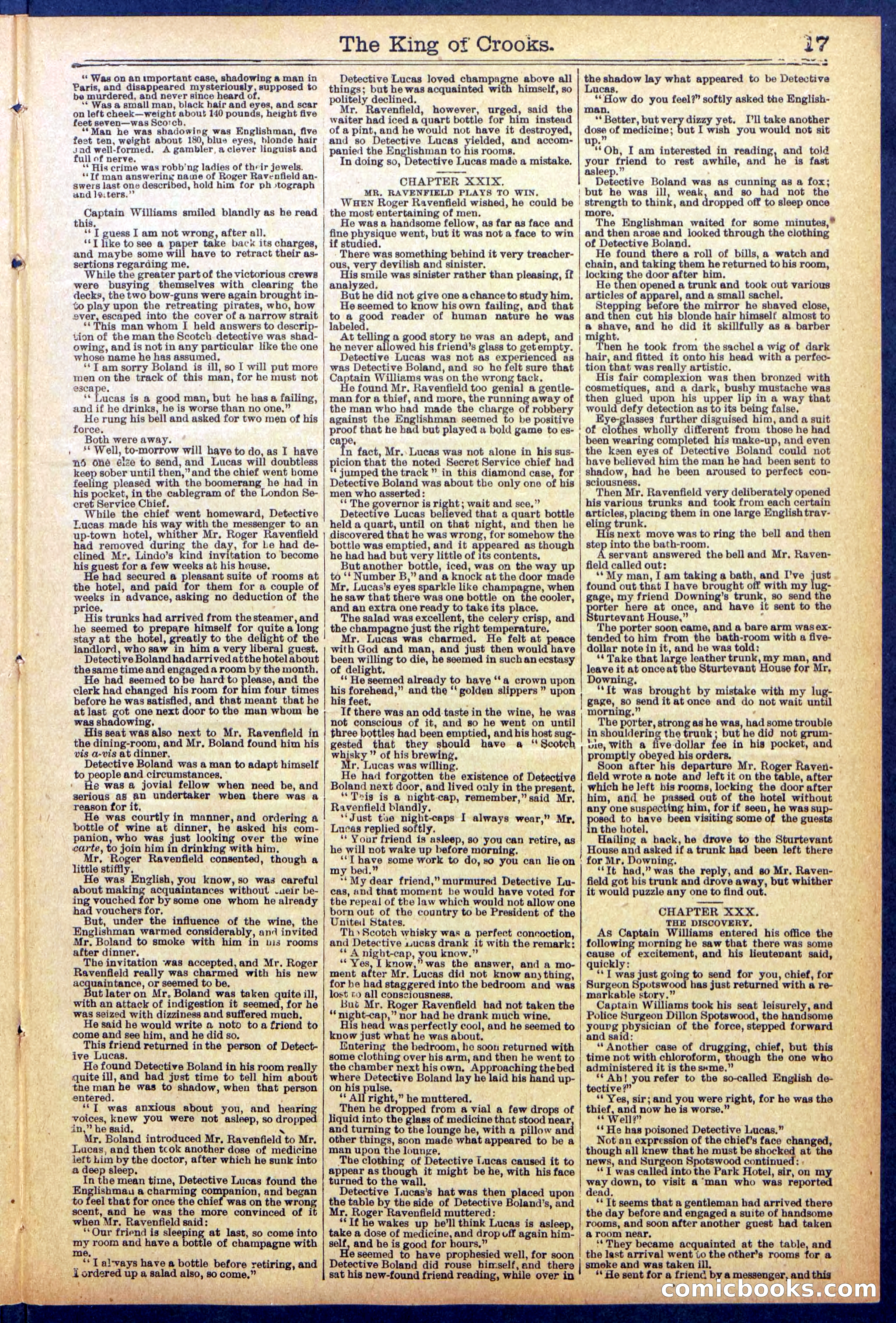 Beadle's New York Dime Library No. 886 — page 17 of 32