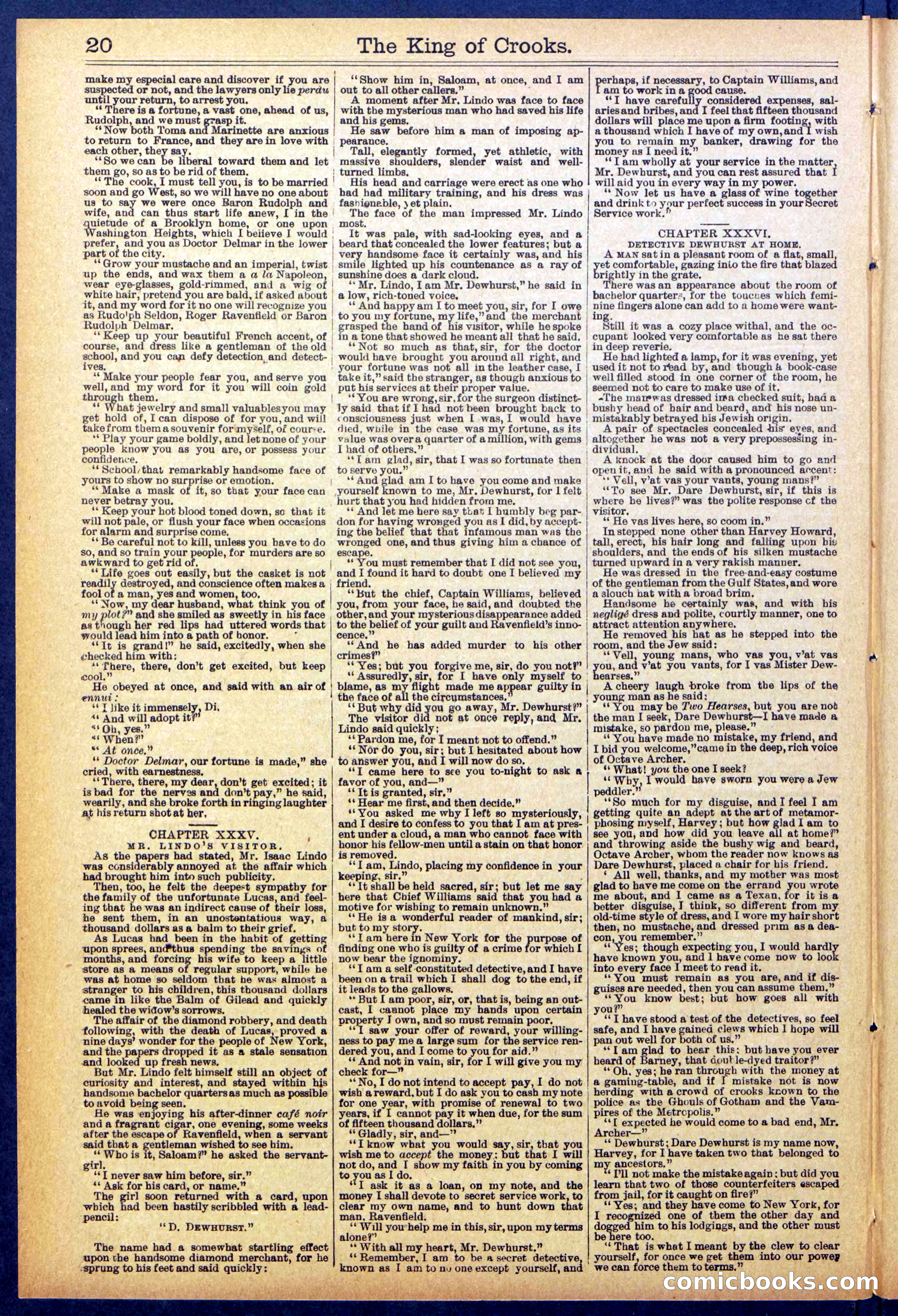 Beadle's New York Dime Library No. 886 — page 20 of 32