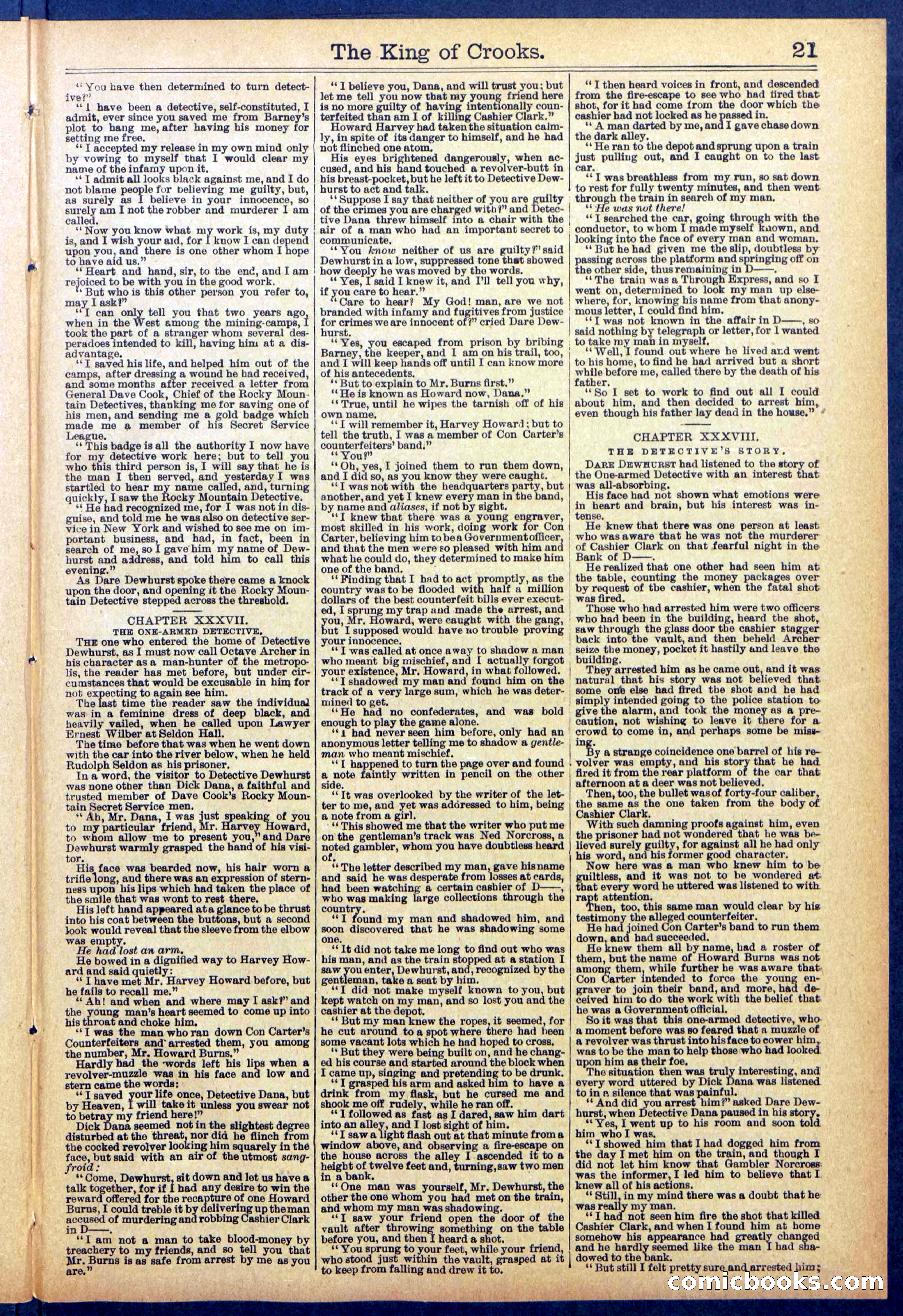 Beadle's New York Dime Library No. 886 — page 21 of 32