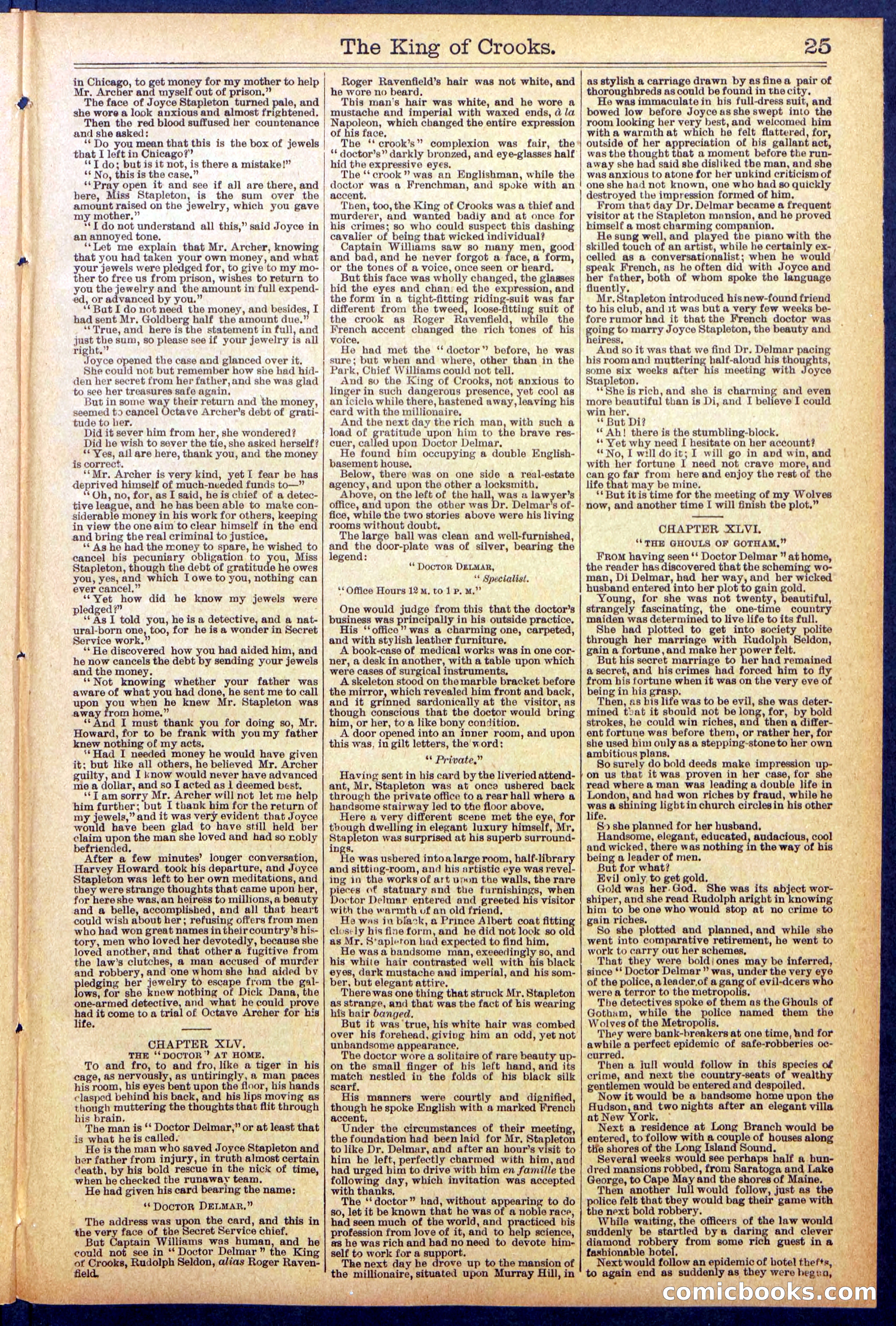 Beadle's New York Dime Library No. 886 — page 25 of 32