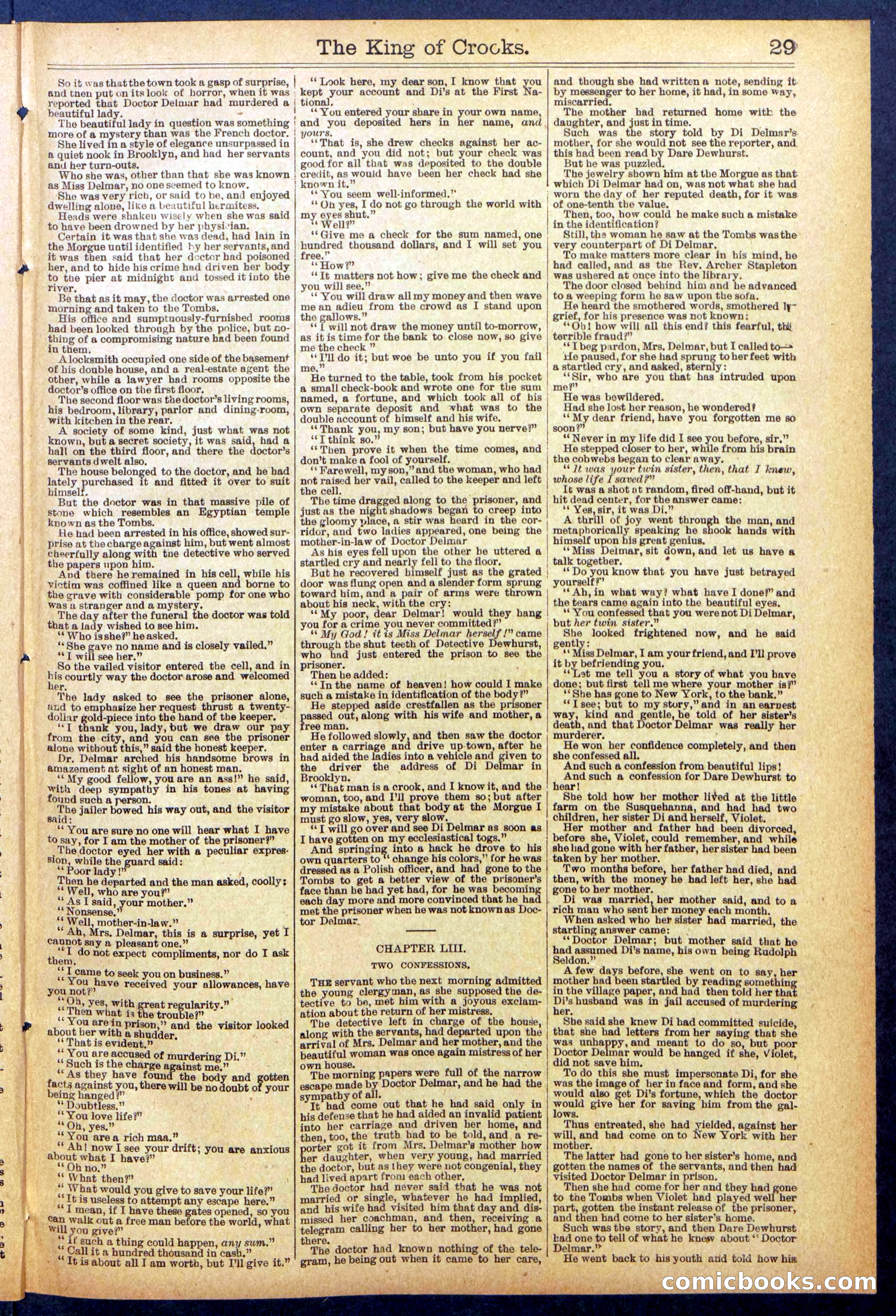 Beadle's New York Dime Library No. 886 — page 29 of 32