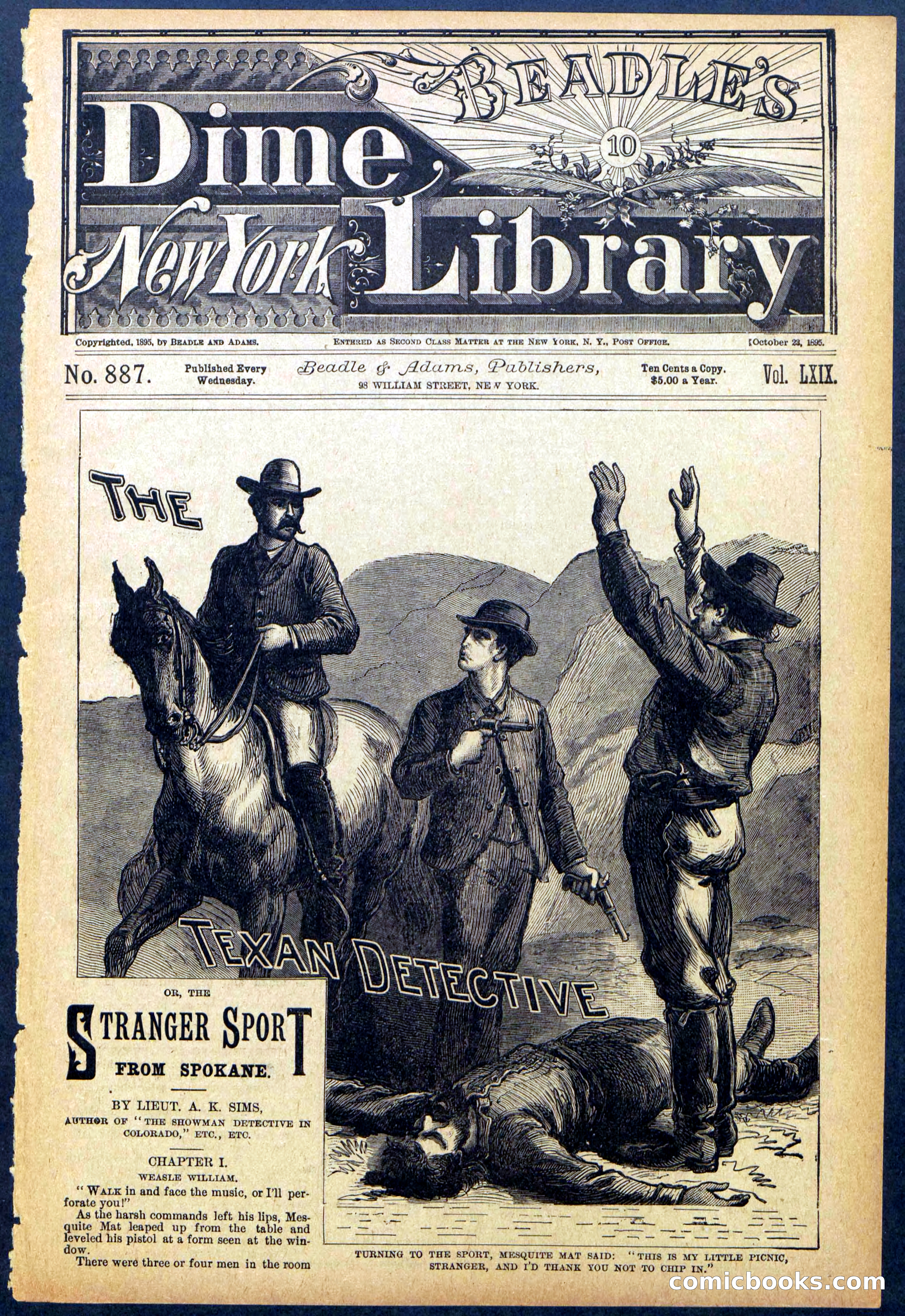 Beadle's New York Dime Library No. 887 — page 1 of 32