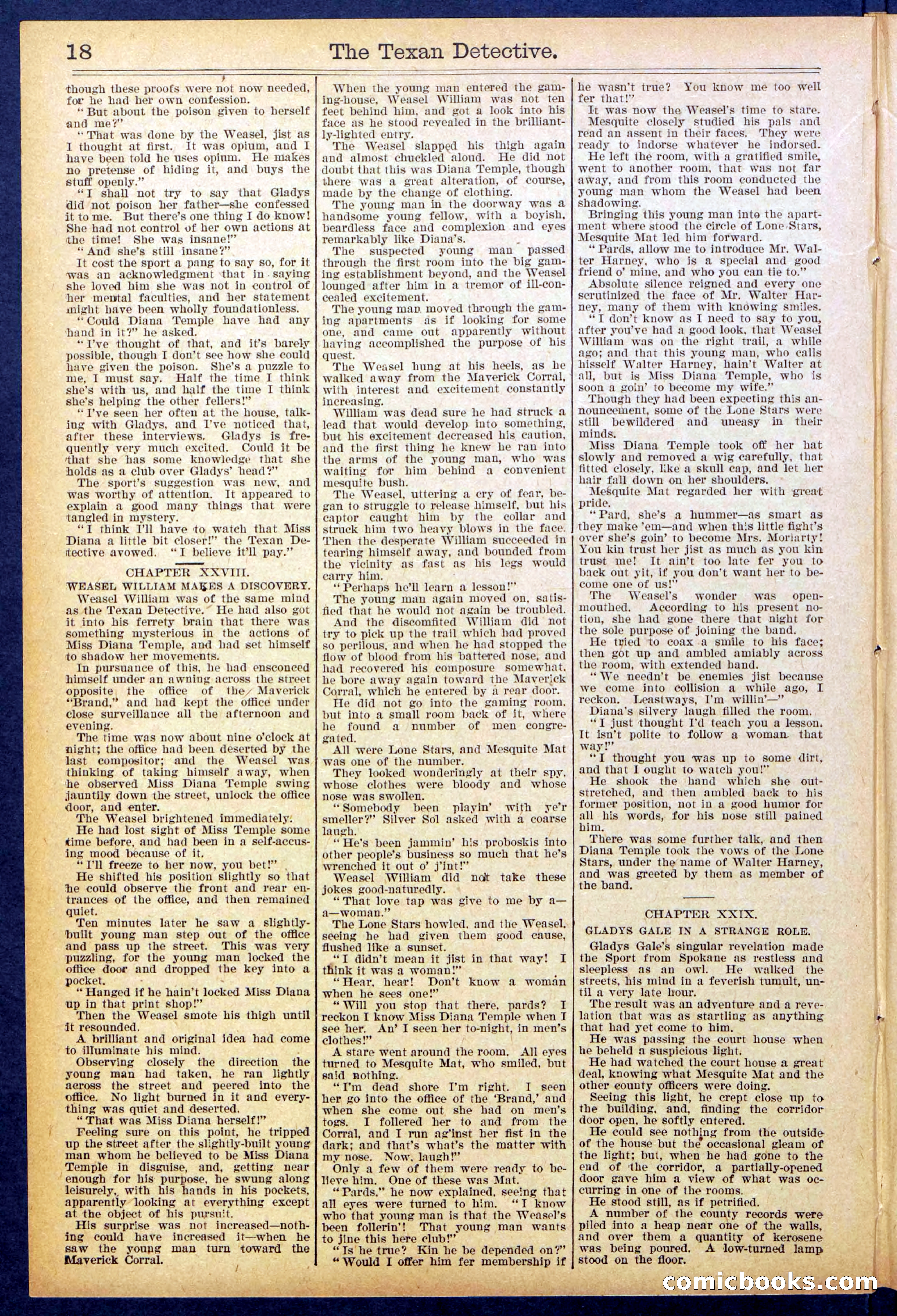 Beadle's New York Dime Library No. 887 — page 18 of 32
