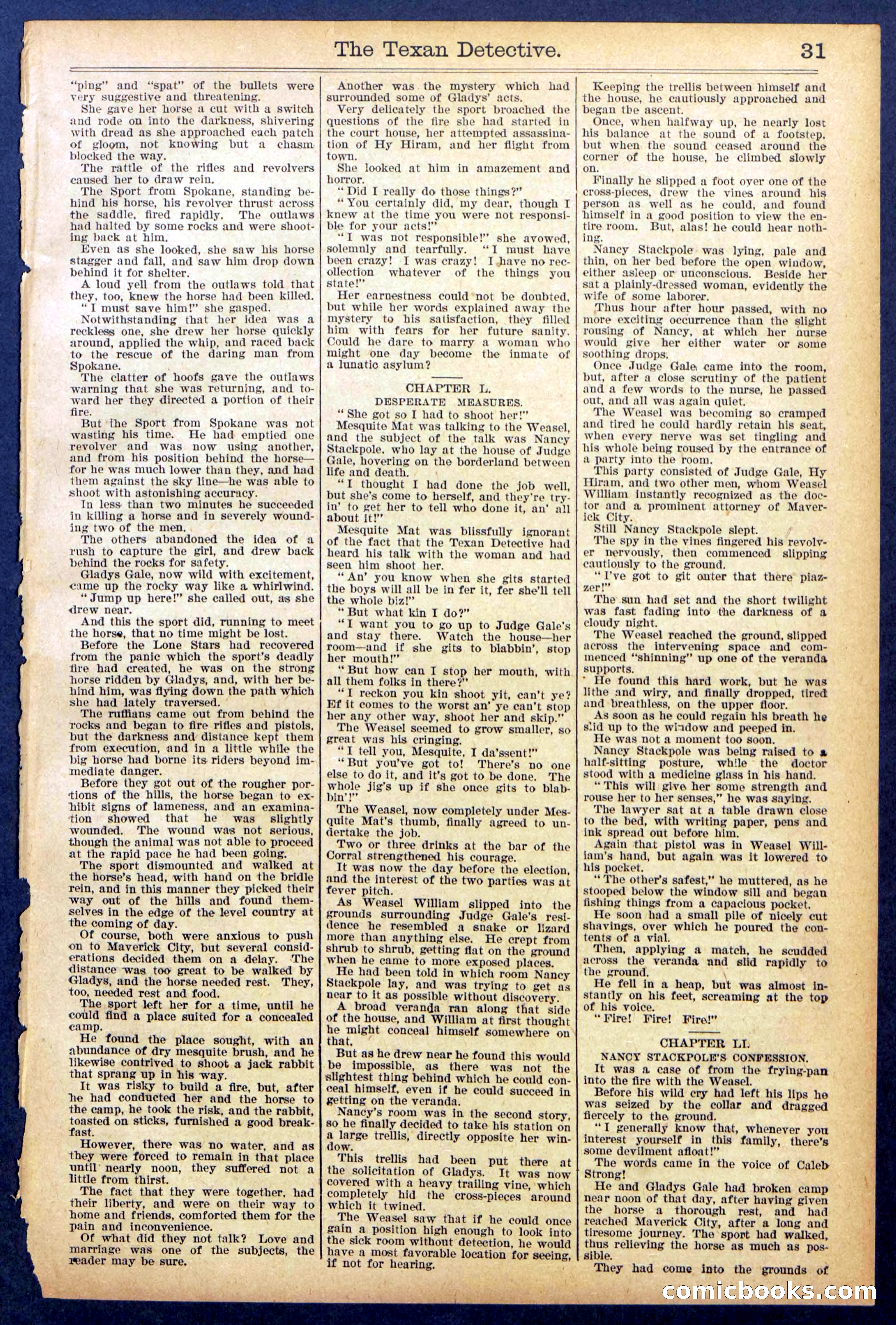 Beadle's New York Dime Library No. 887 — page 31 of 32