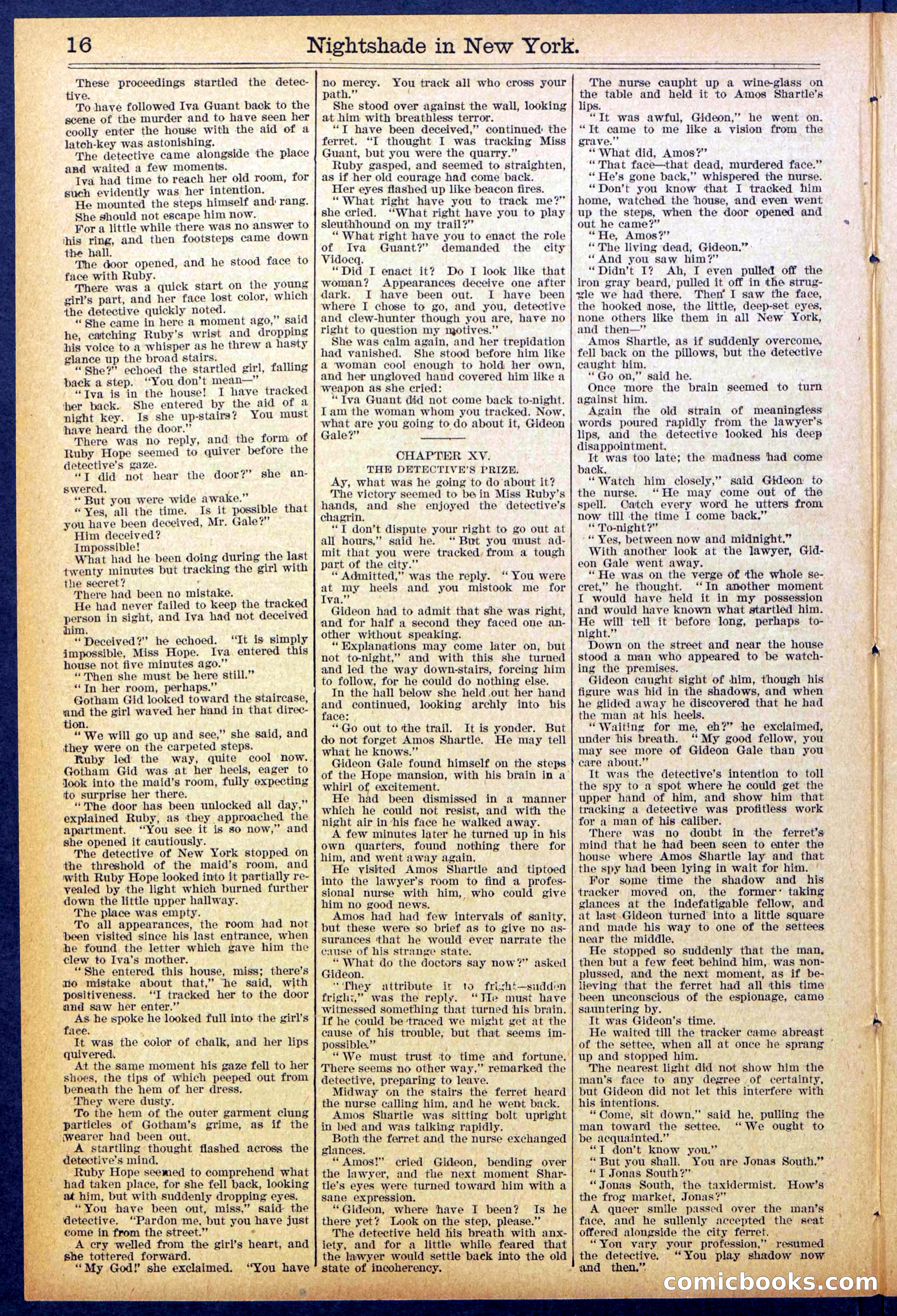 Beadle's New York Dime Library No. 888 — page 16 of 32
