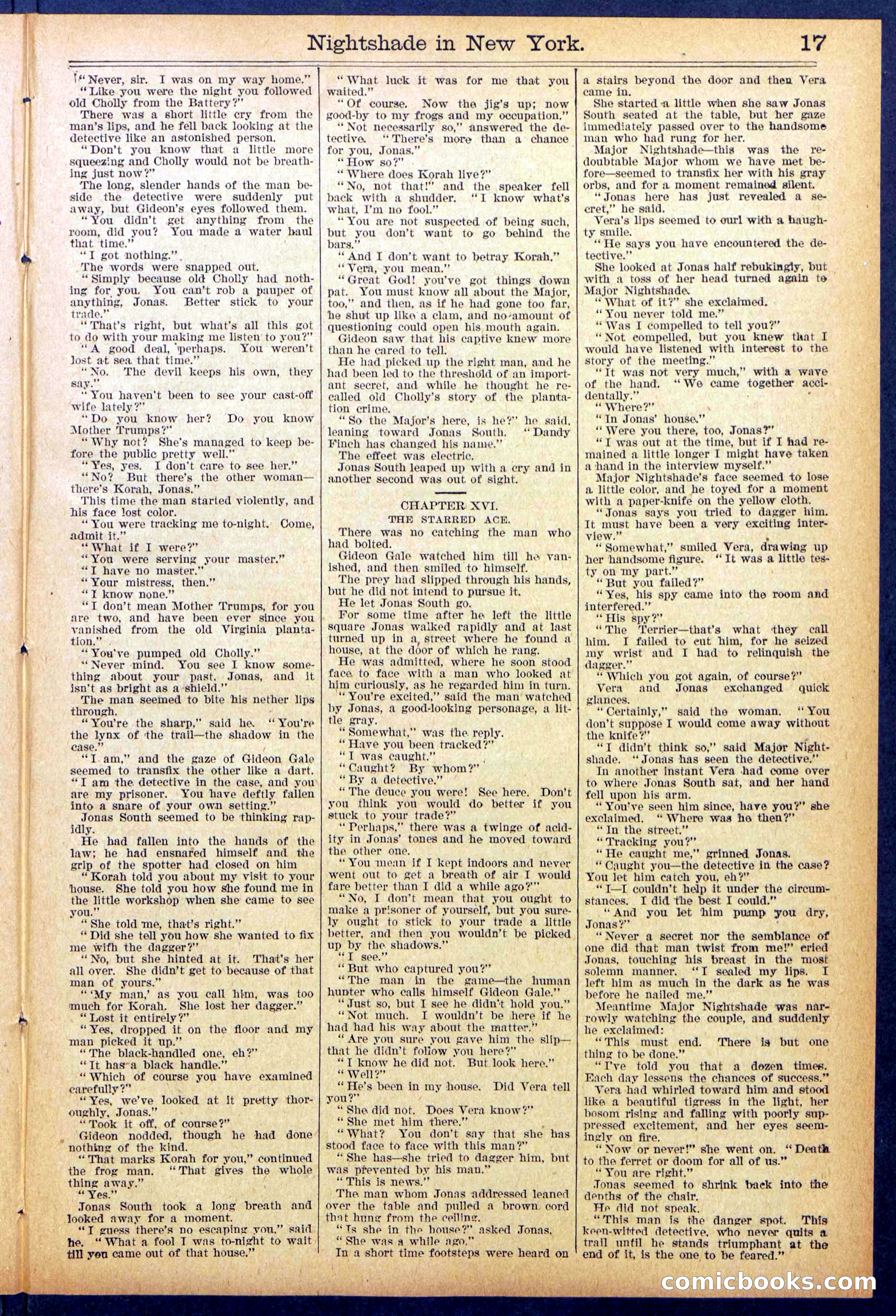 Beadle's New York Dime Library No. 888 — page 17 of 32