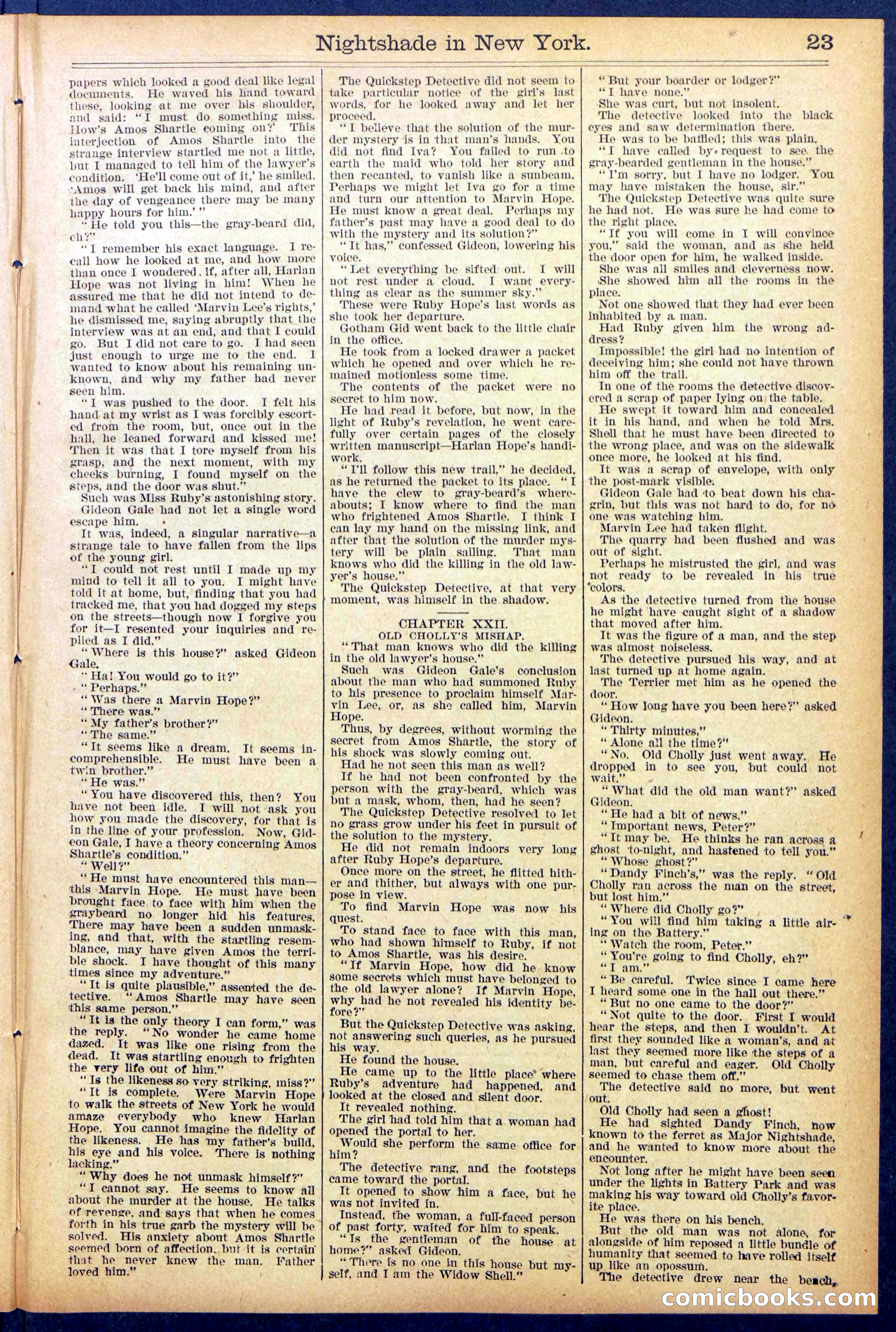 Beadle's New York Dime Library No. 888 — page 23 of 32