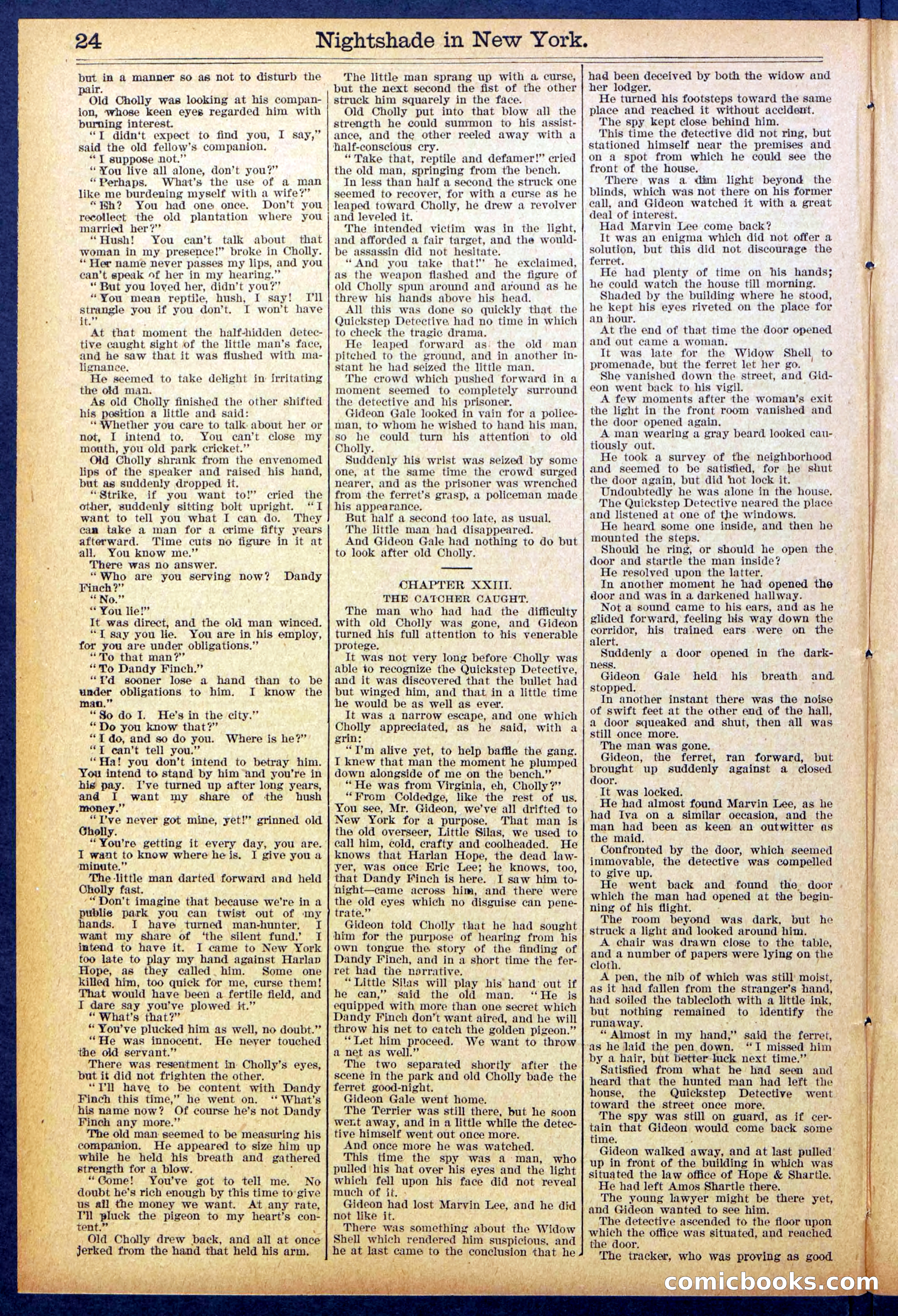 Beadle's New York Dime Library No. 888 — page 24 of 32