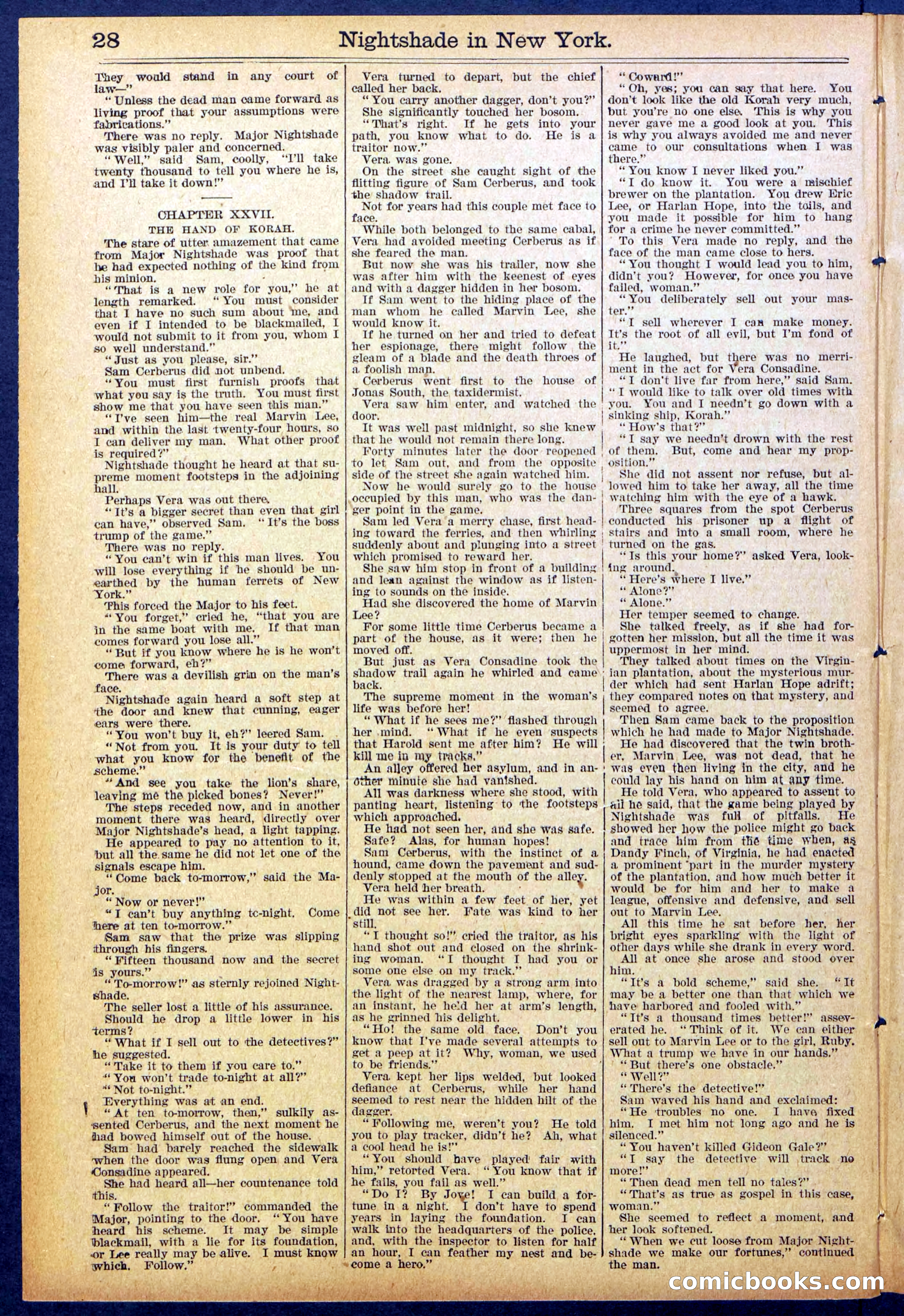 Beadle's New York Dime Library No. 888 — page 28 of 32
