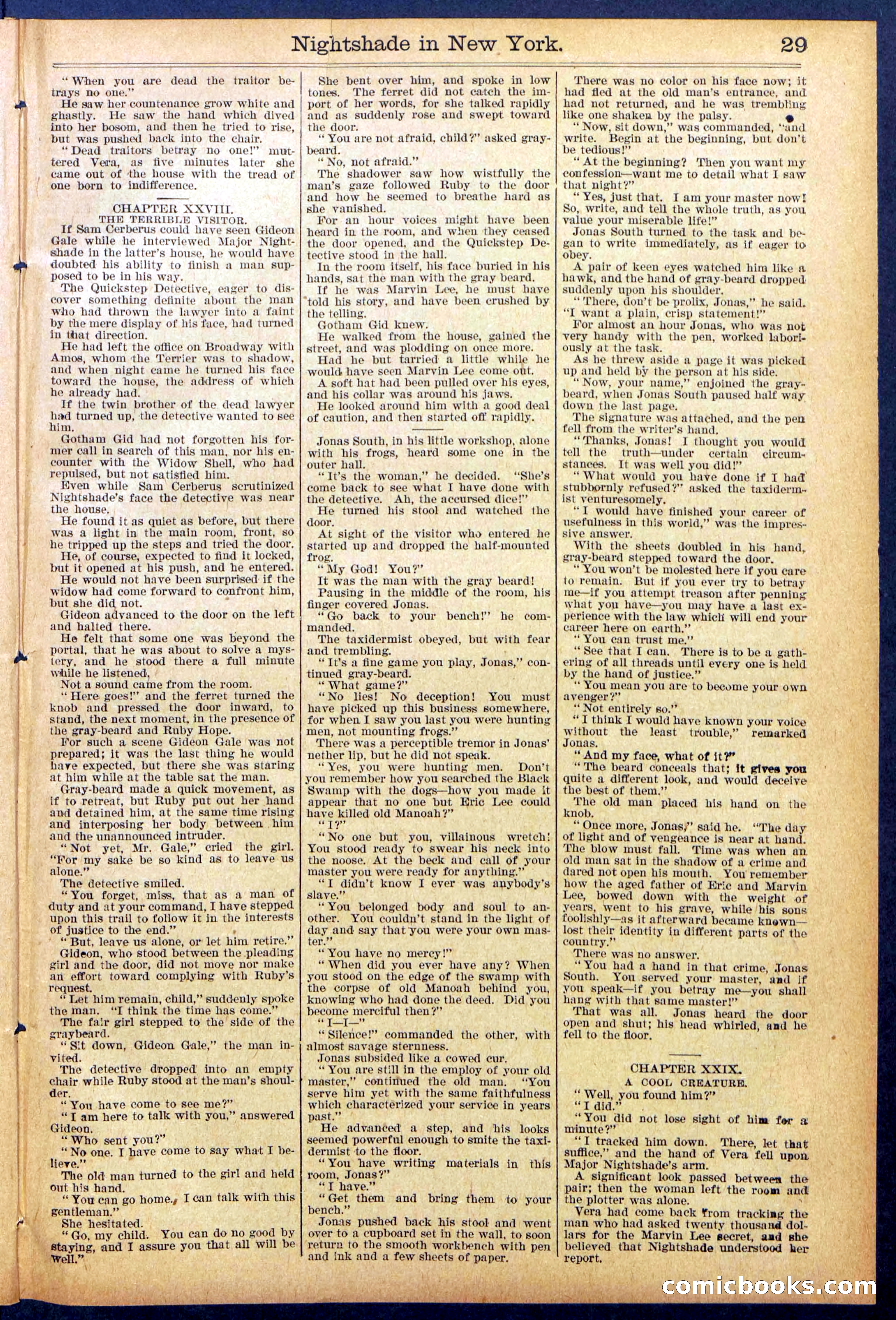 Beadle's New York Dime Library No. 888 — page 29 of 32