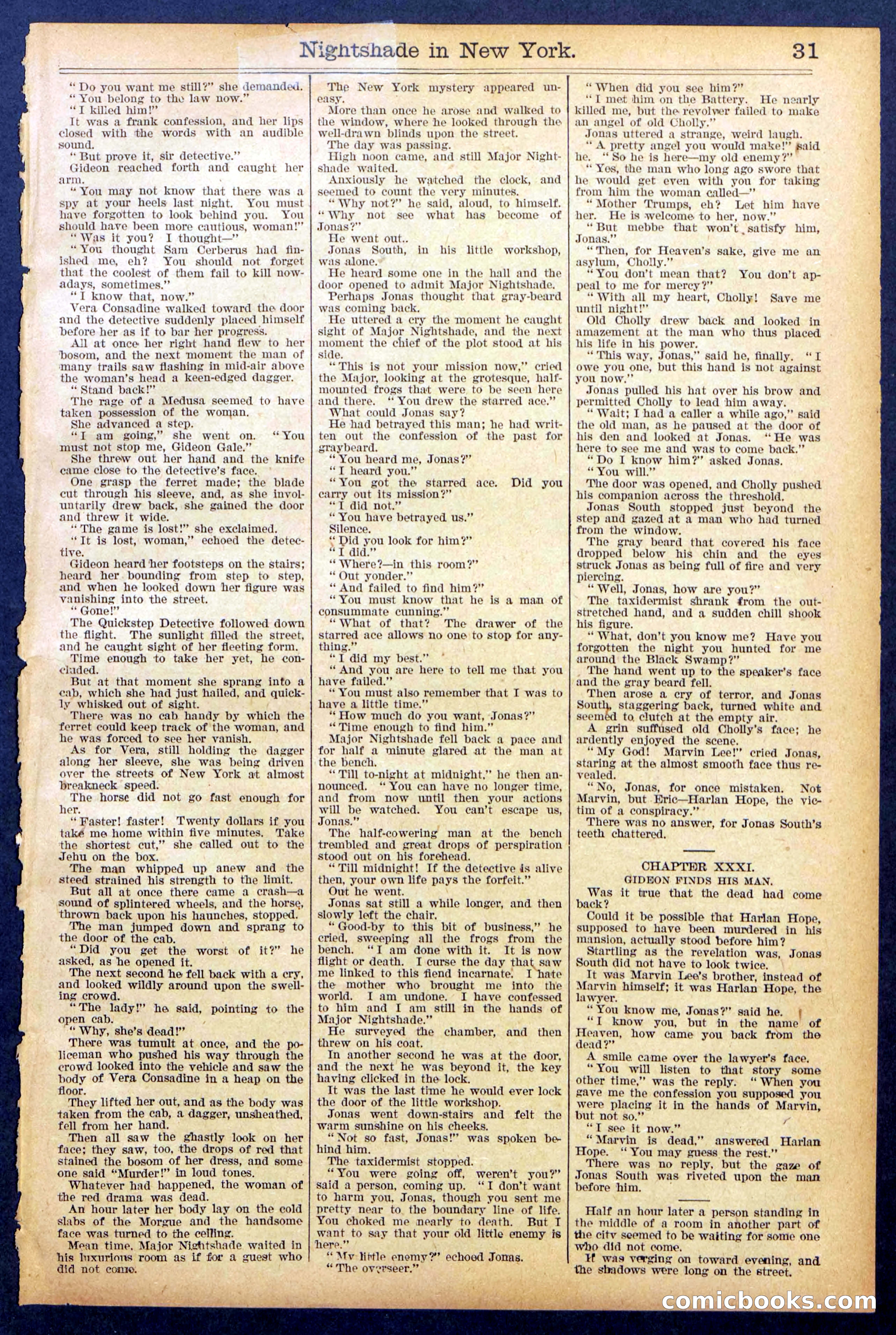 Beadle's New York Dime Library No. 888 — page 31 of 32