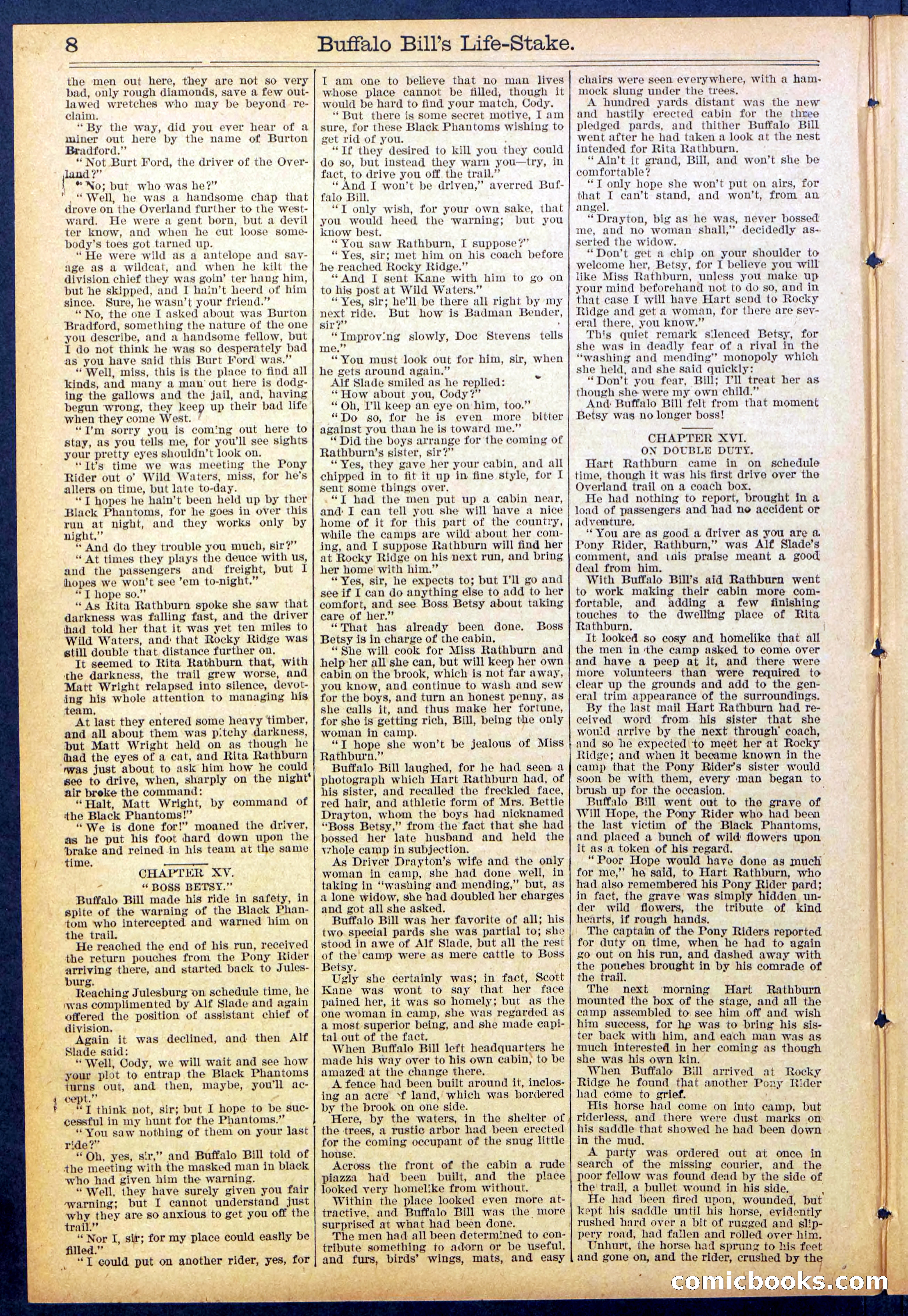 Beadle's New York Dime Library No. 890 — page 8 of 32