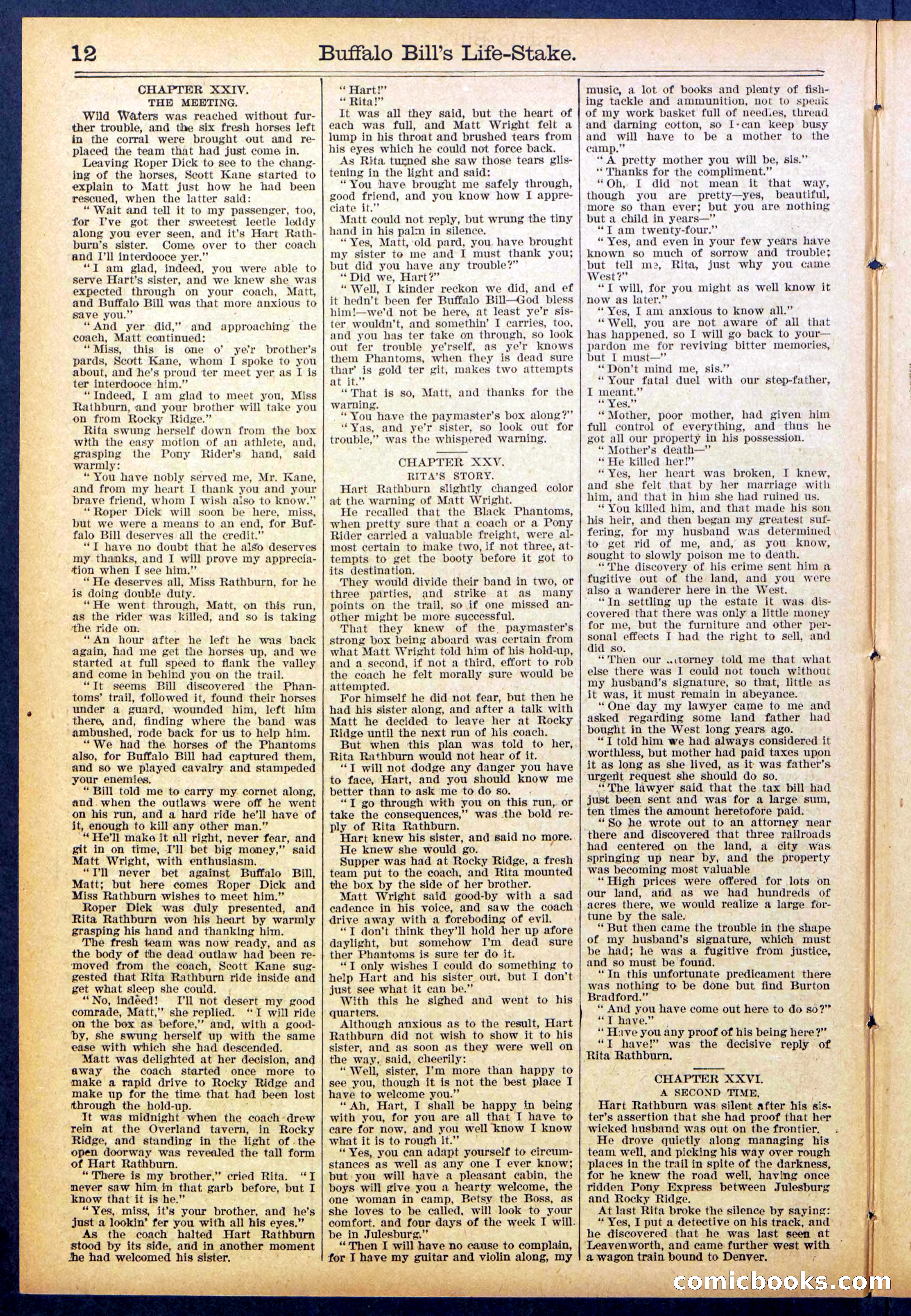 Beadle's New York Dime Library No. 890 — page 12 of 32