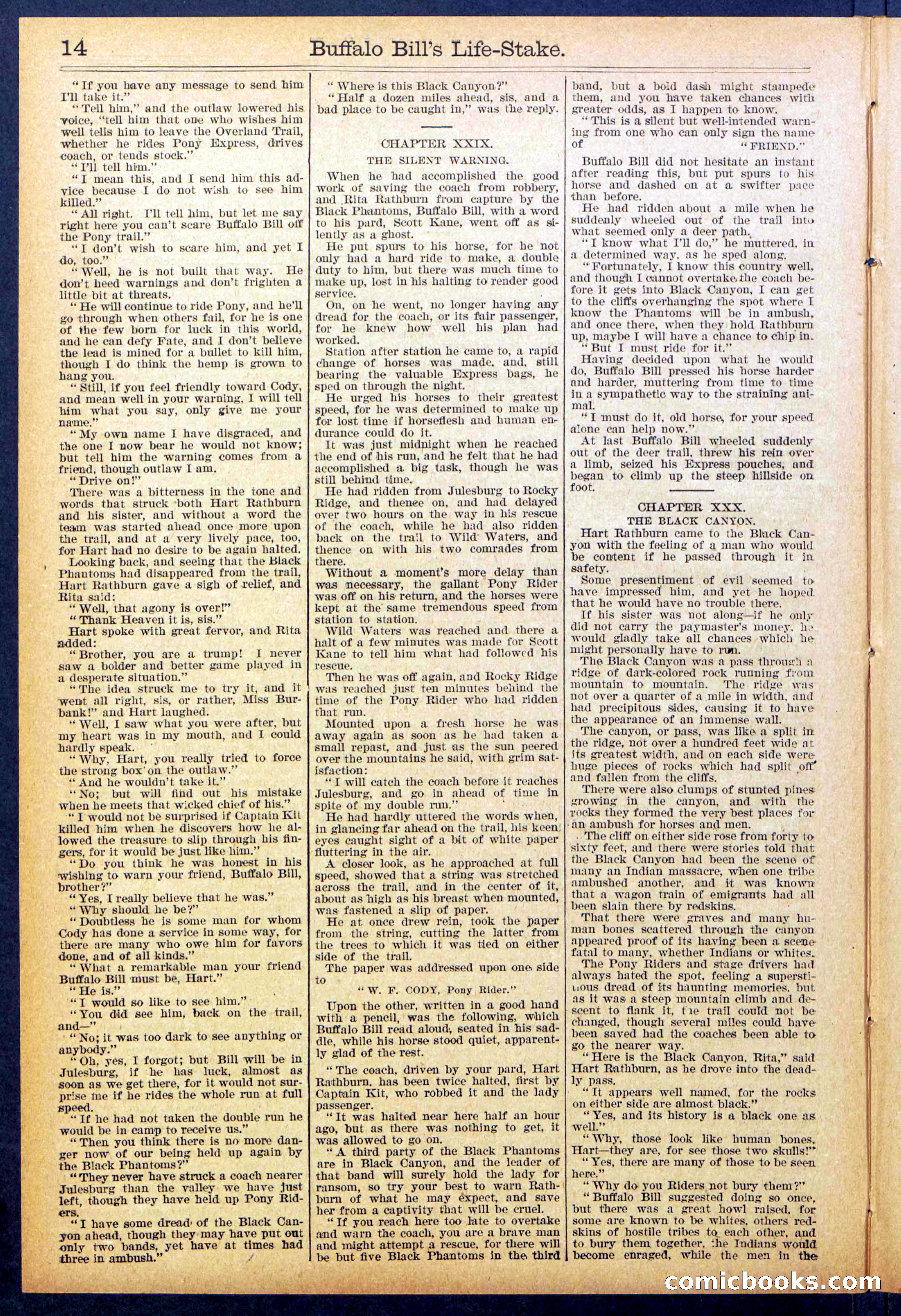 Beadle's New York Dime Library No. 890 — page 14 of 32