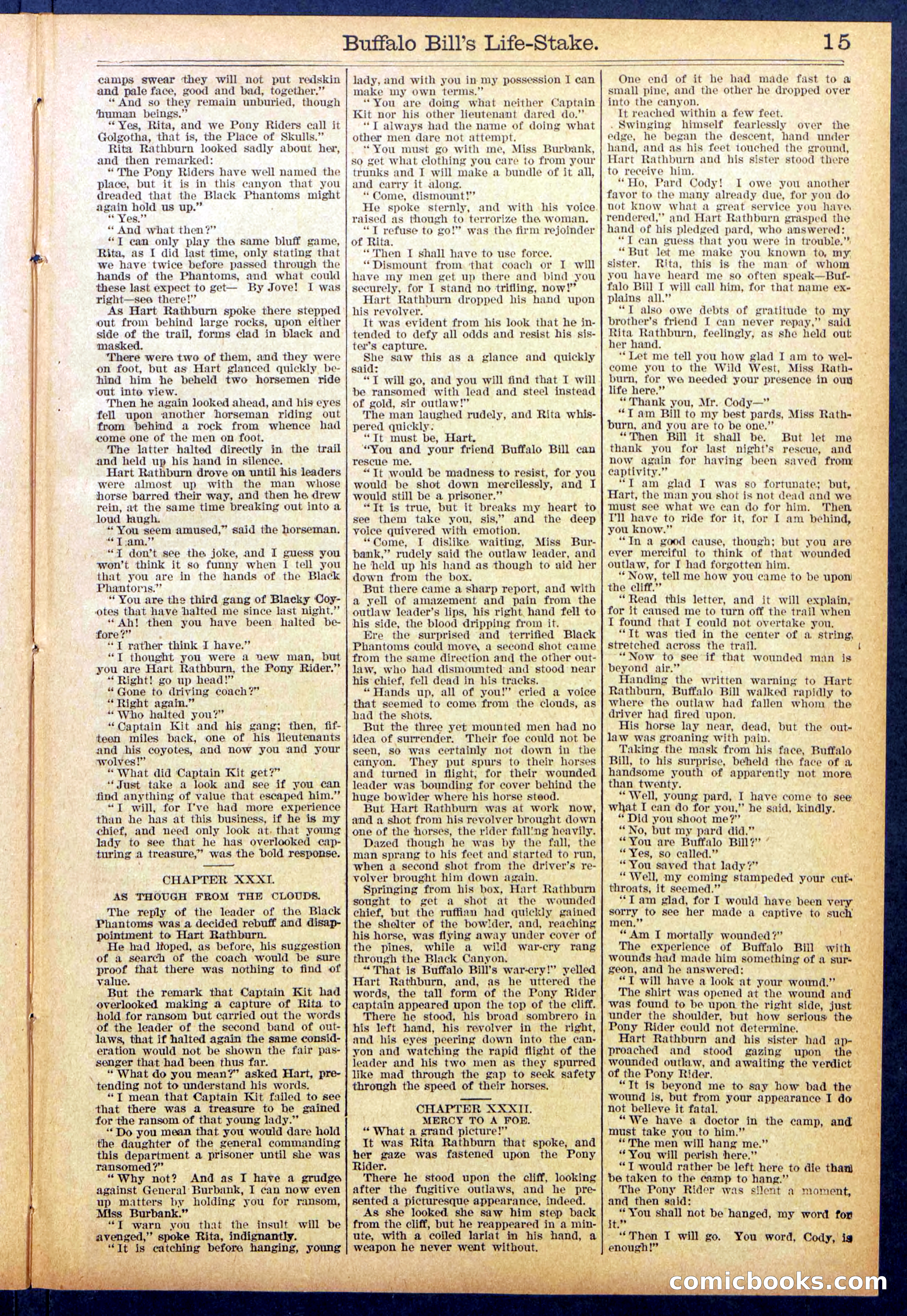 Beadle's New York Dime Library No. 890 — page 15 of 32
