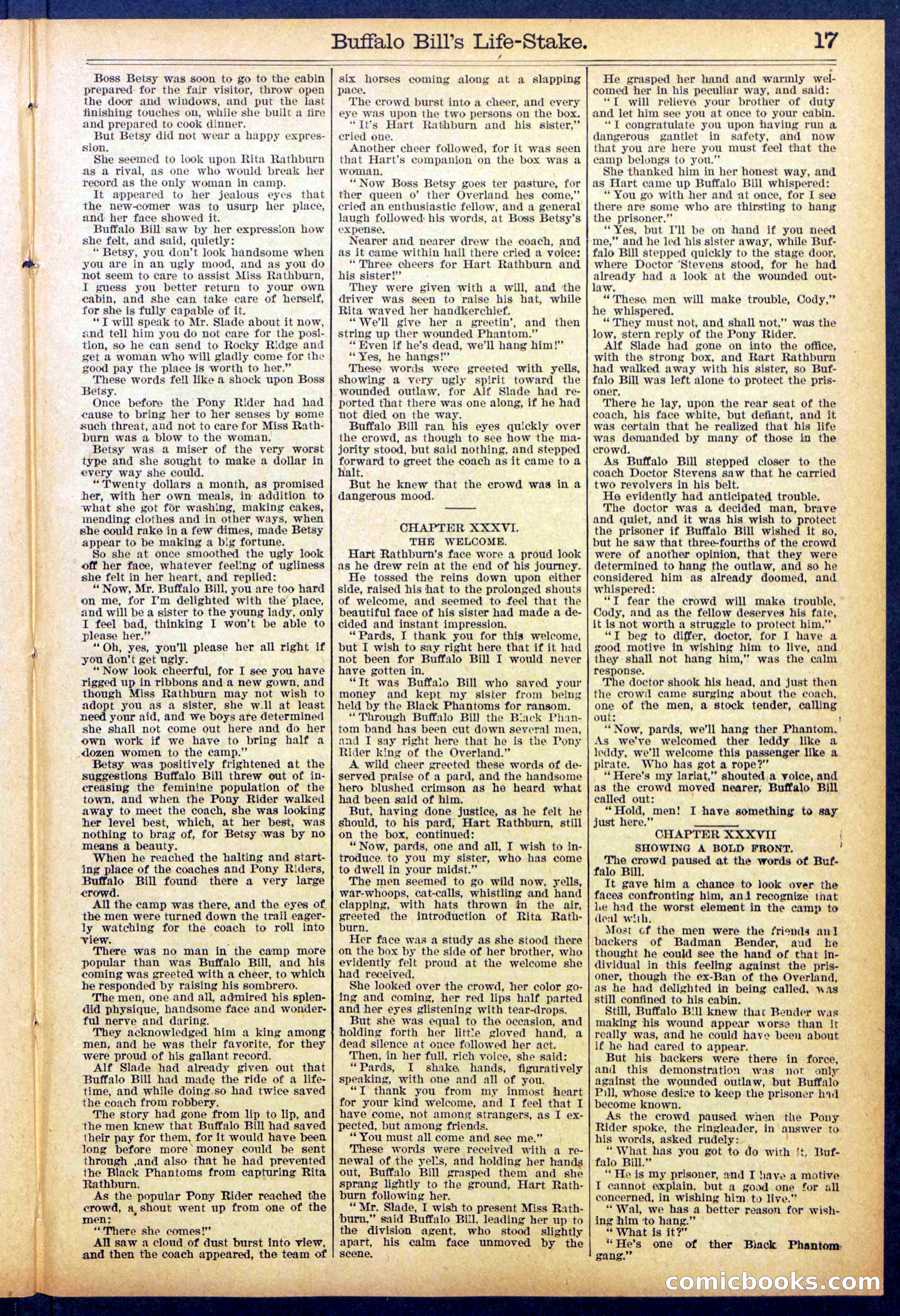 Beadle's New York Dime Library No. 890 — page 17 of 32