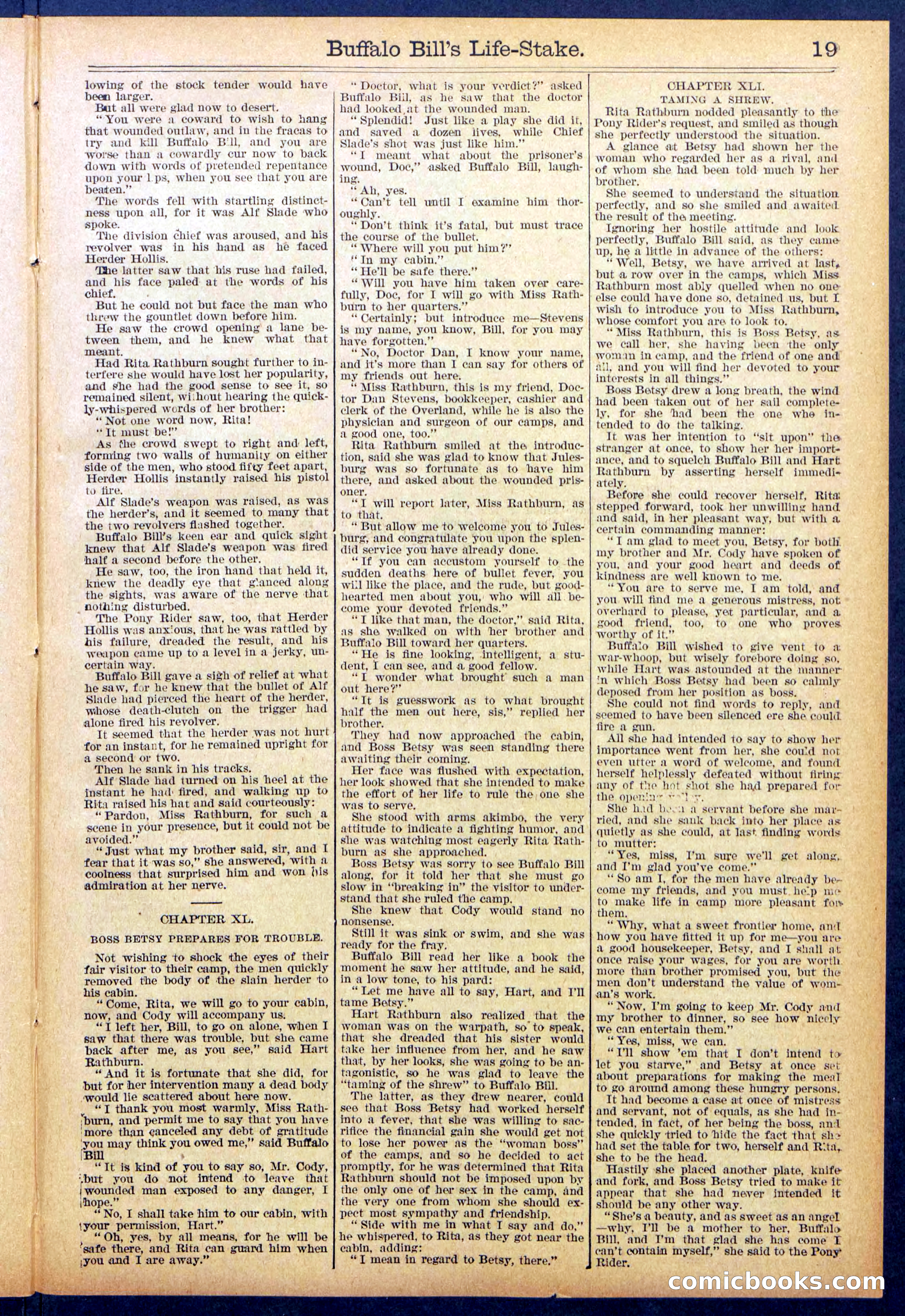 Beadle's New York Dime Library No. 890 — page 19 of 32