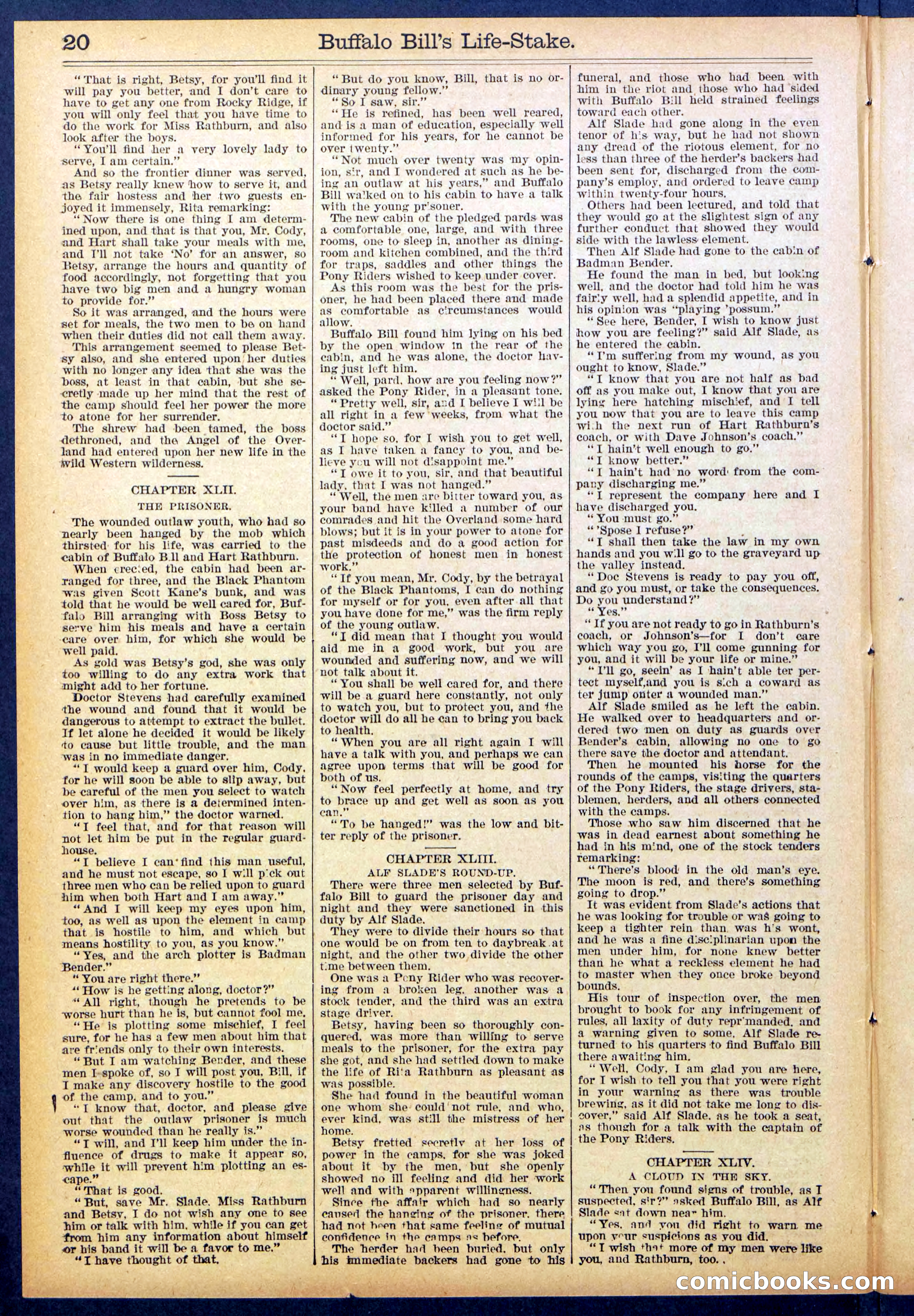Beadle's New York Dime Library No. 890 — page 20 of 32