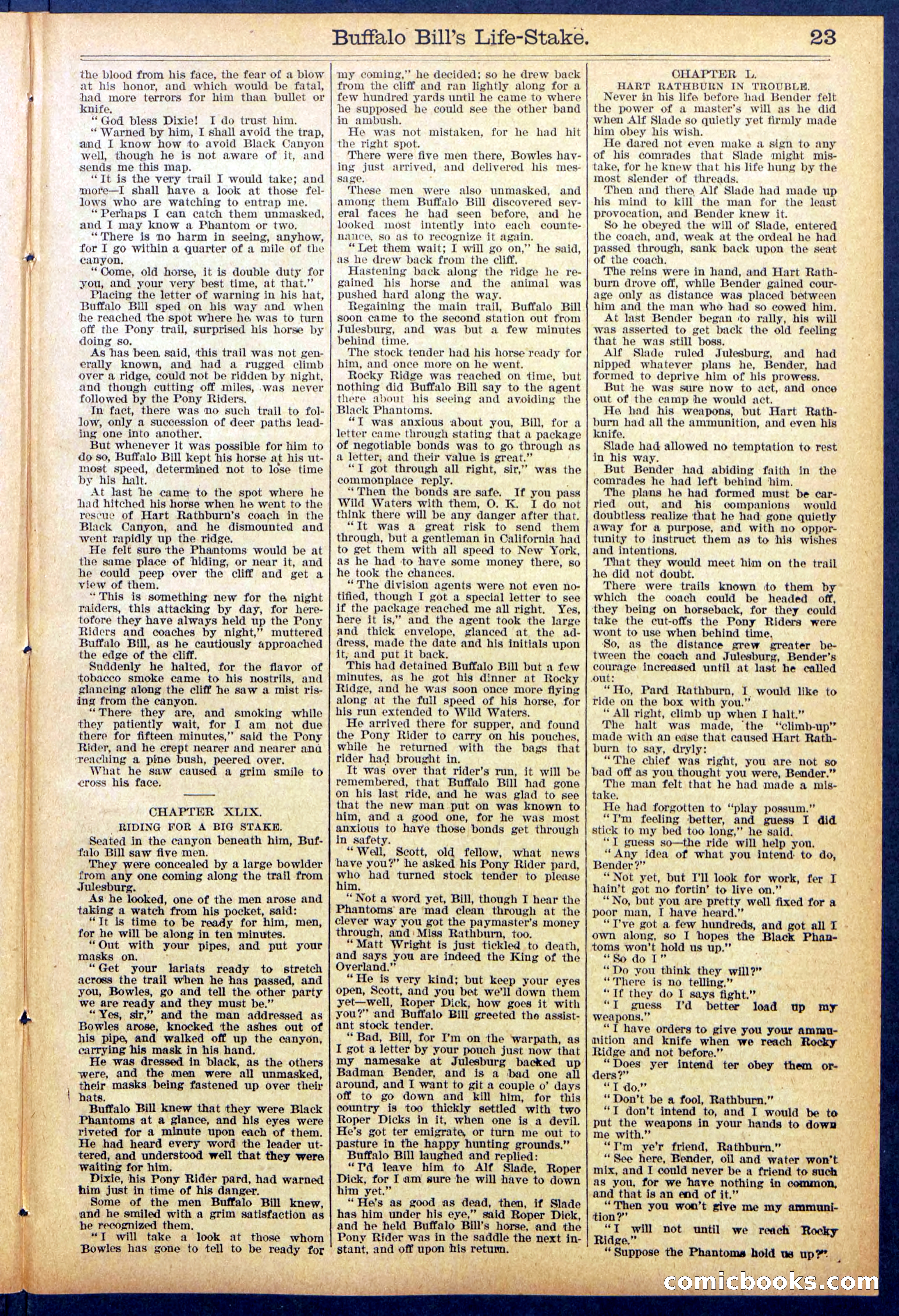 Beadle's New York Dime Library No. 890 — page 23 of 32