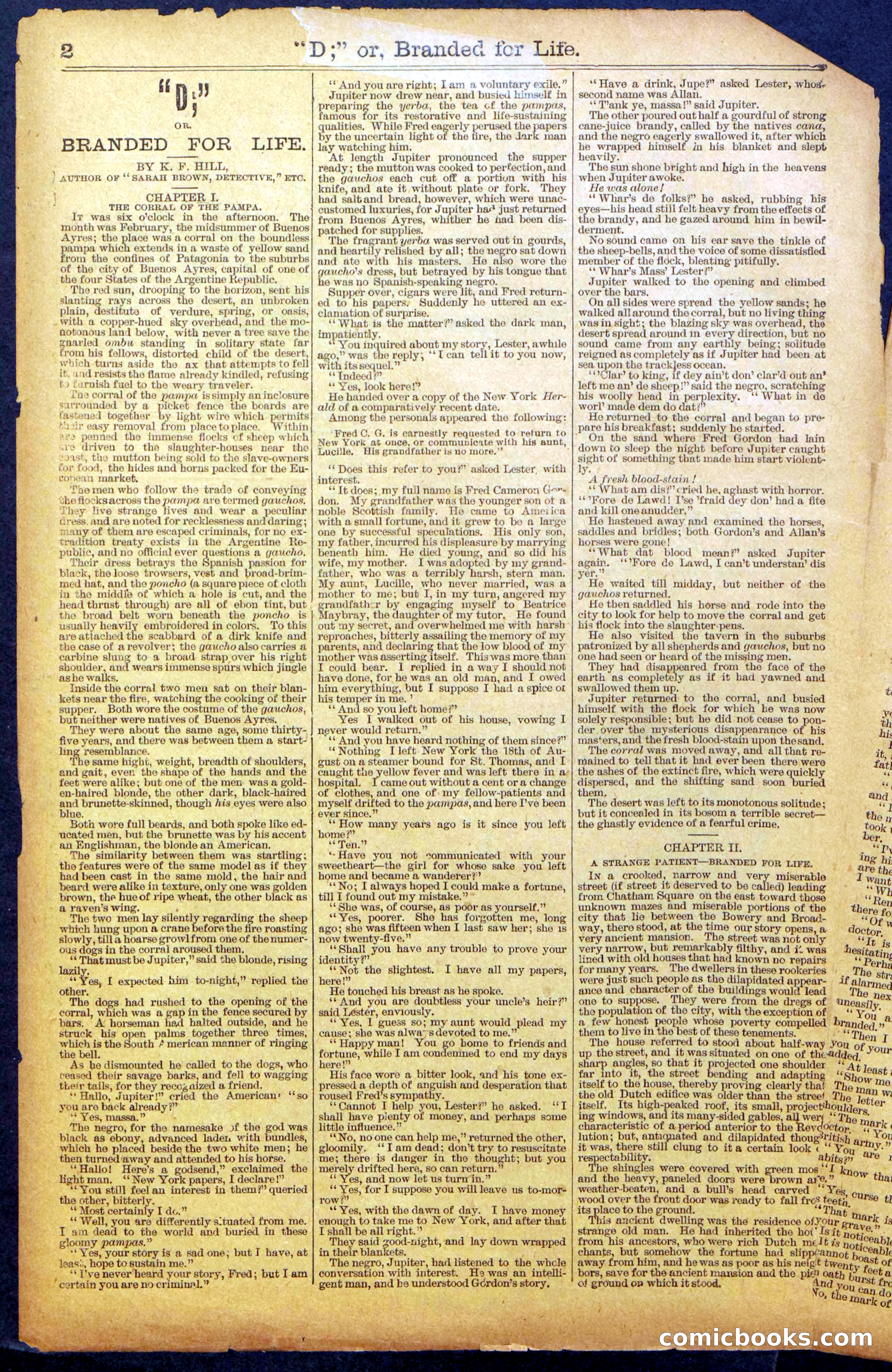 Beadle's New York Dime Library No. 971 — page 2 of 24