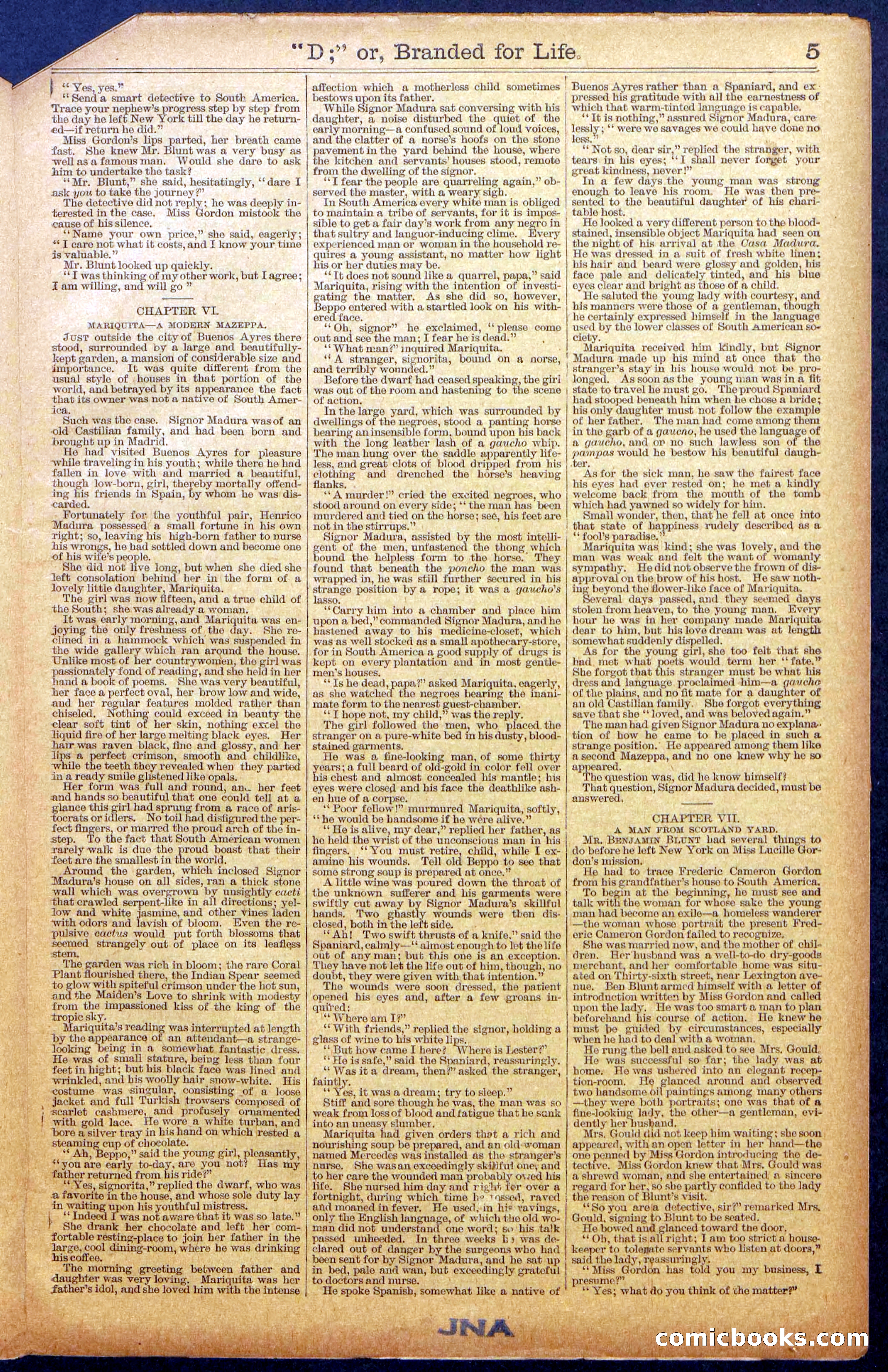 Beadle's New York Dime Library No. 971 — page 5 of 24