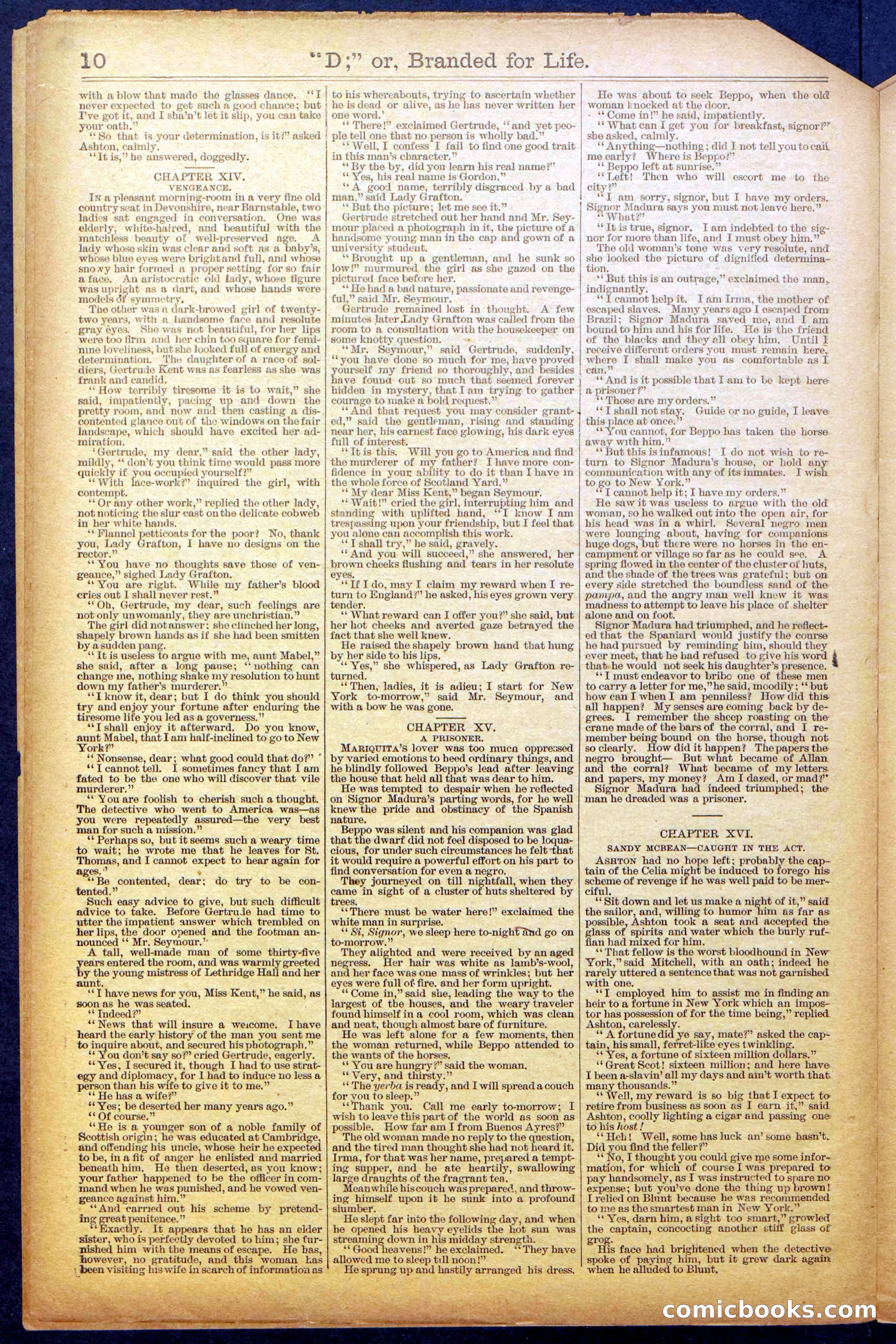 Beadle's New York Dime Library No. 971 — page 10 of 24