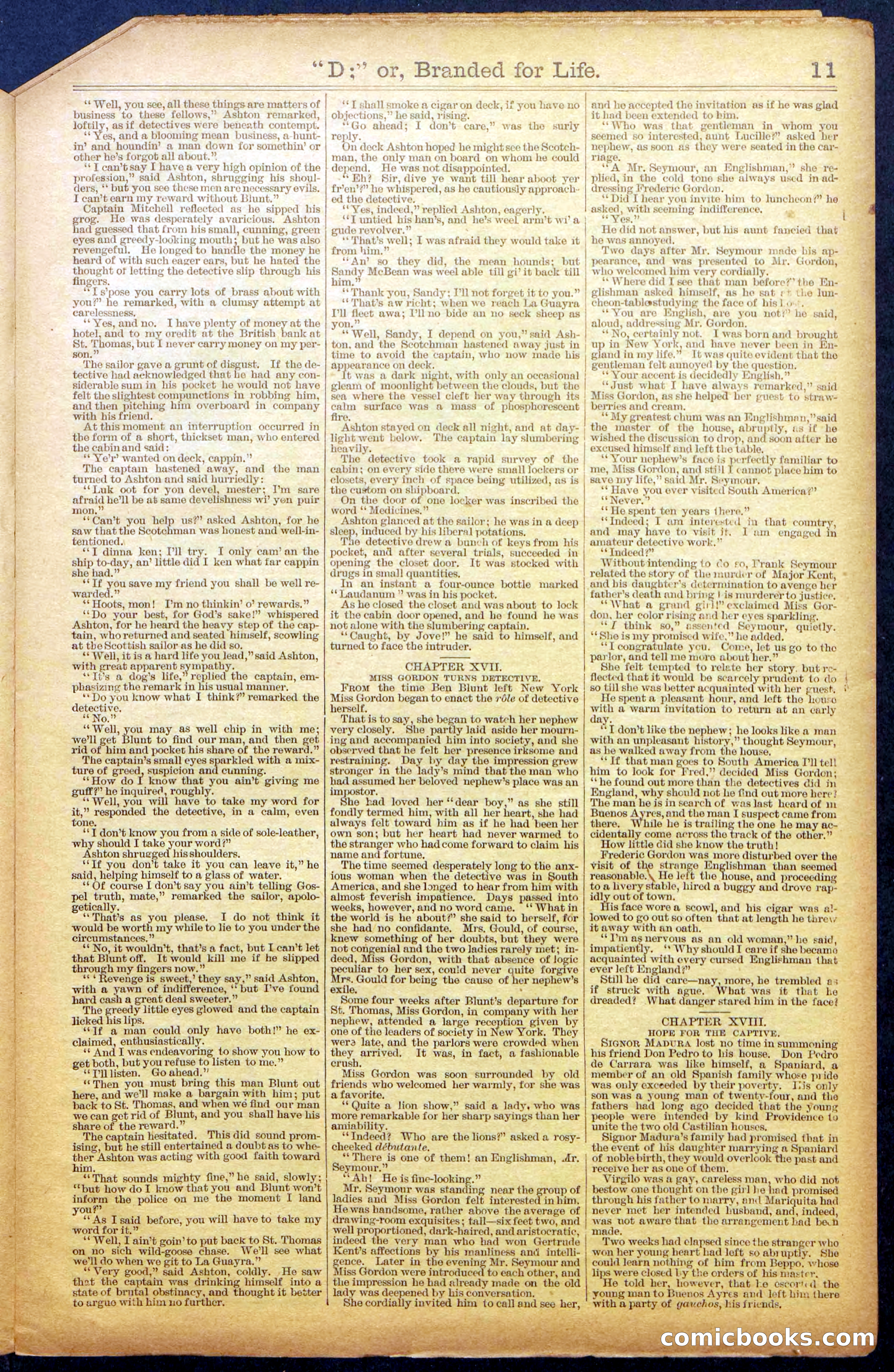 Beadle's New York Dime Library No. 971 — page 11 of 24