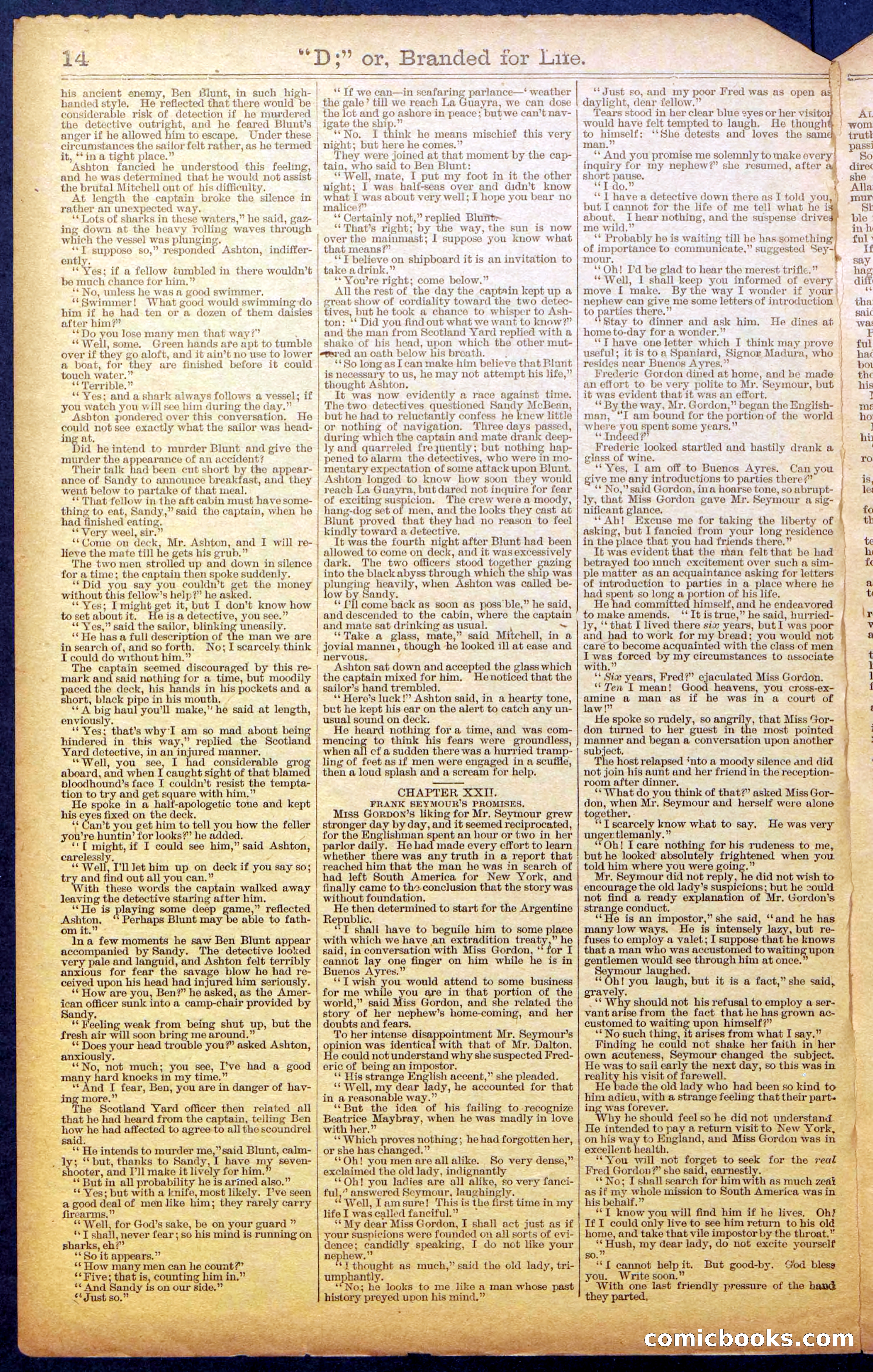 Beadle's New York Dime Library No. 971 — page 14 of 24