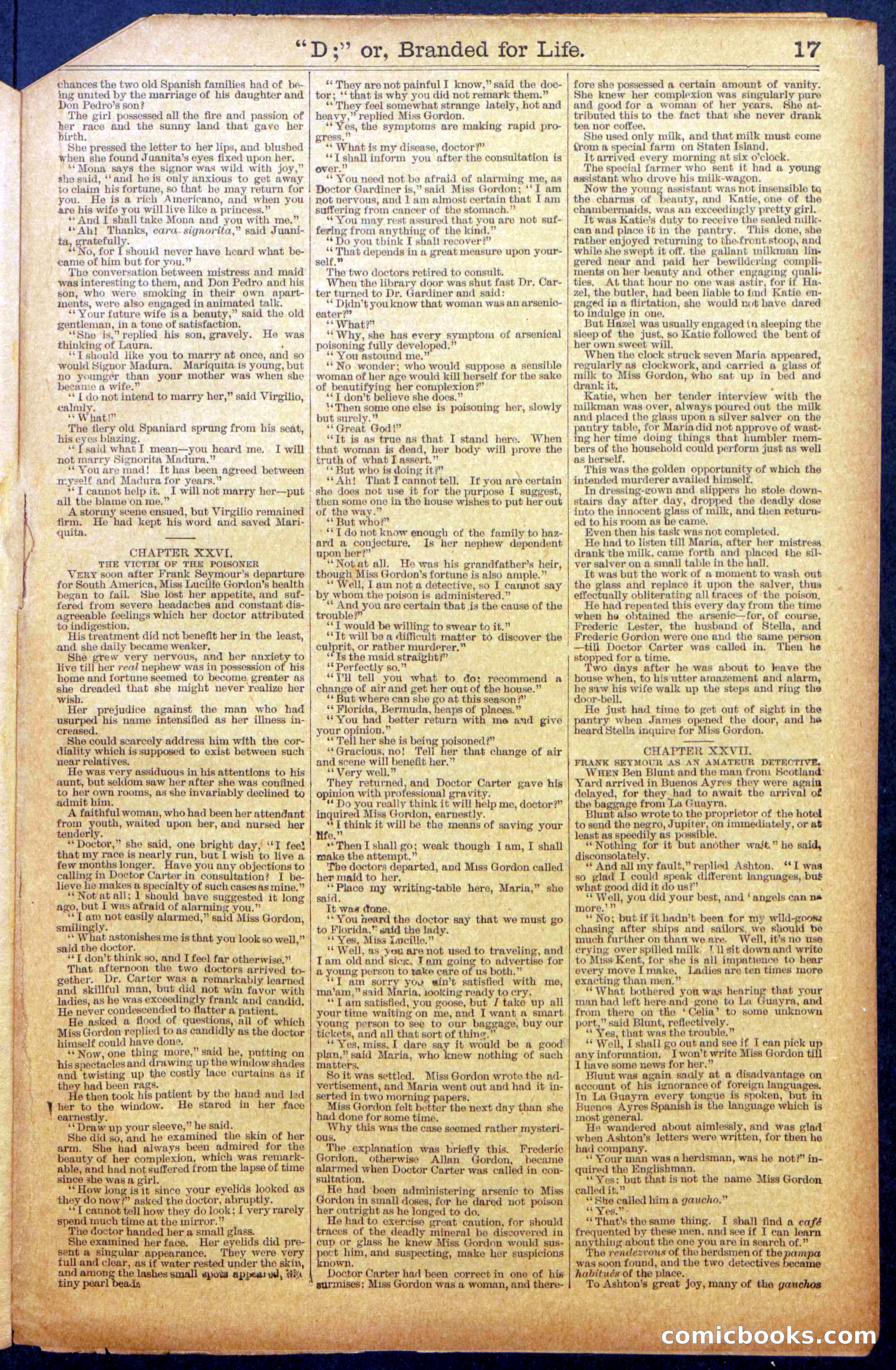 Beadle's New York Dime Library No. 971 — page 17 of 24