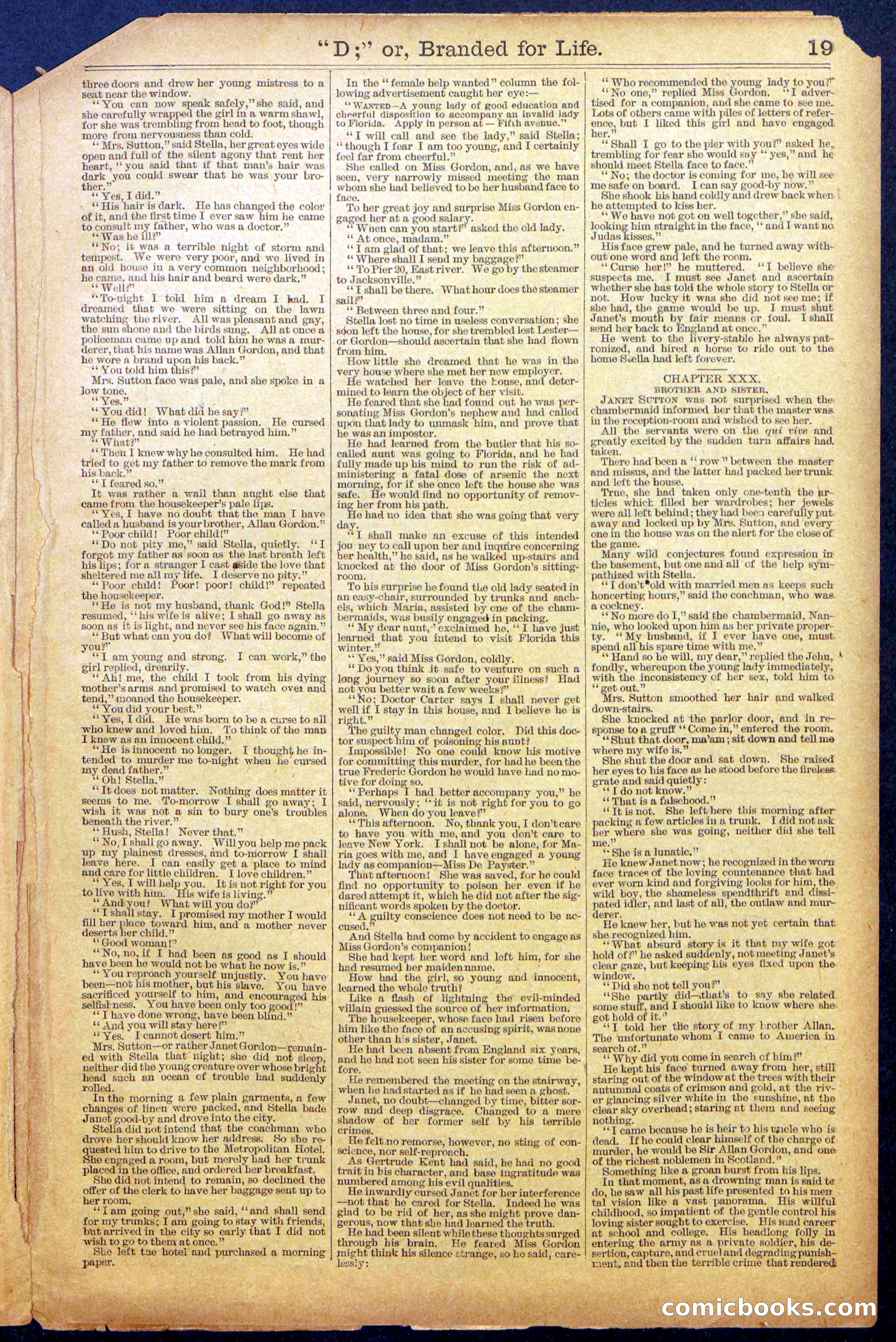 Beadle's New York Dime Library No. 971 — page 19 of 24