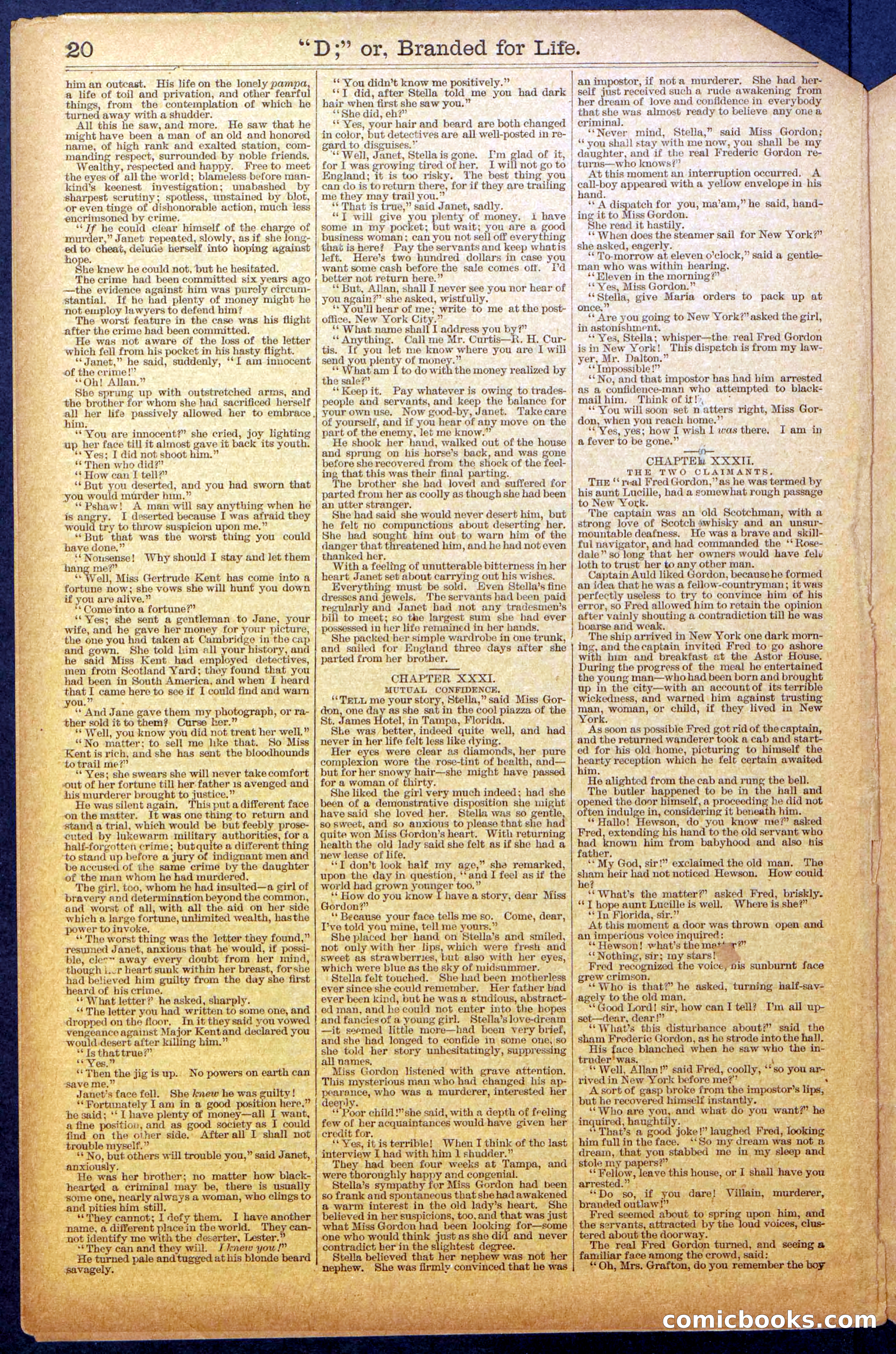 Beadle's New York Dime Library No. 971 — page 20 of 24