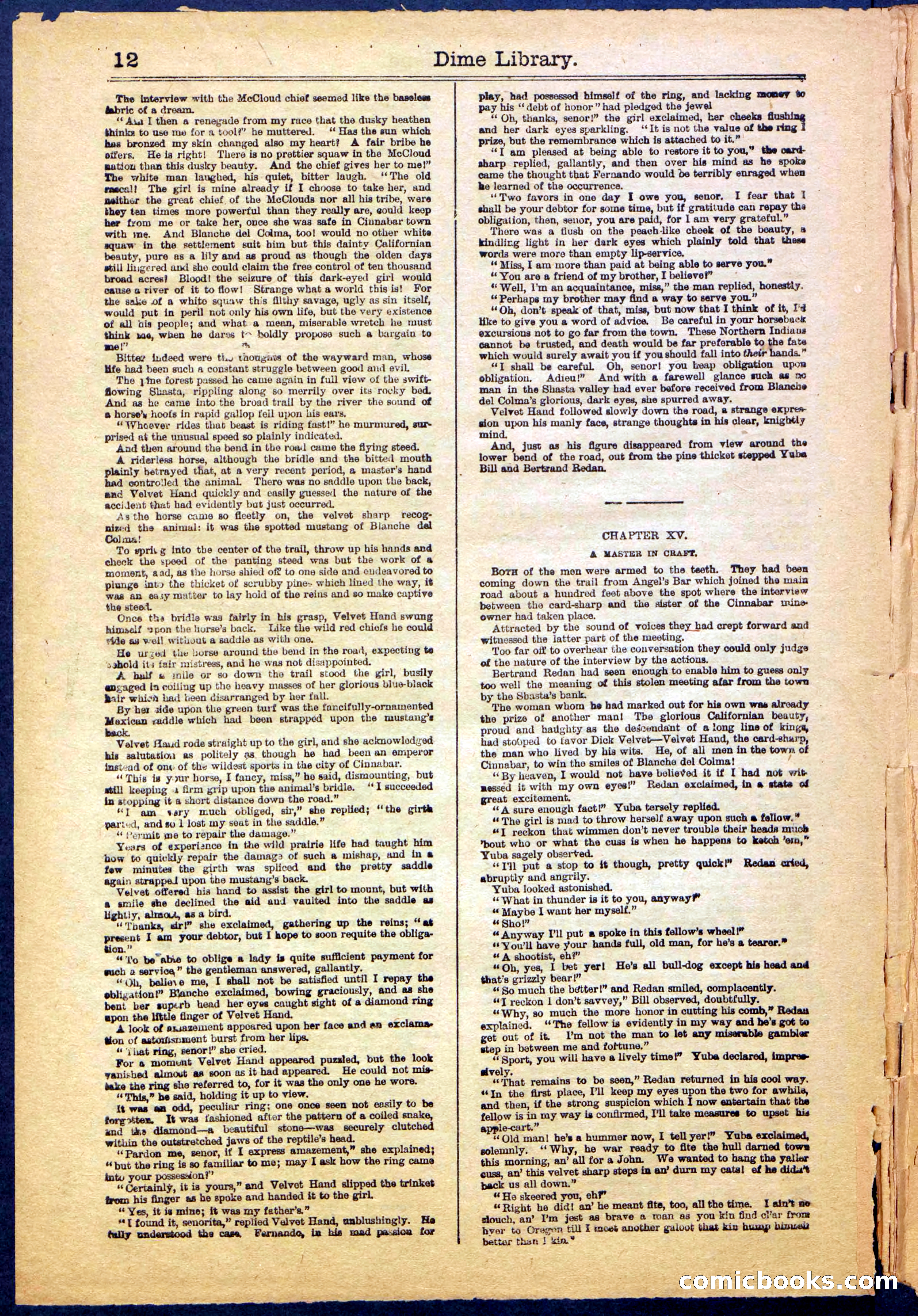 Beadle's New York Dime Library, No. 999 — page 12 of 32