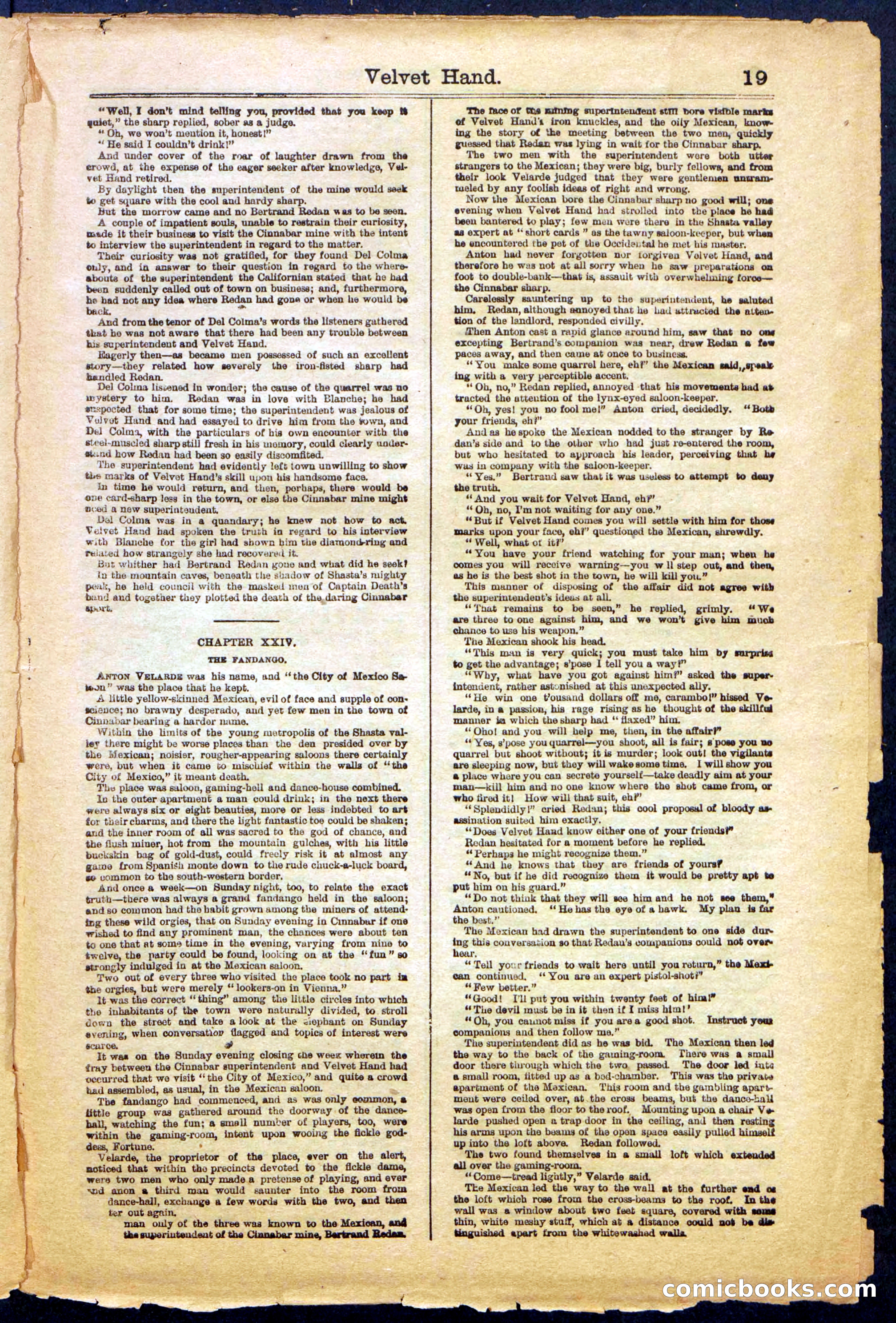 Beadle's New York Dime Library, No. 999 — page 19 of 32