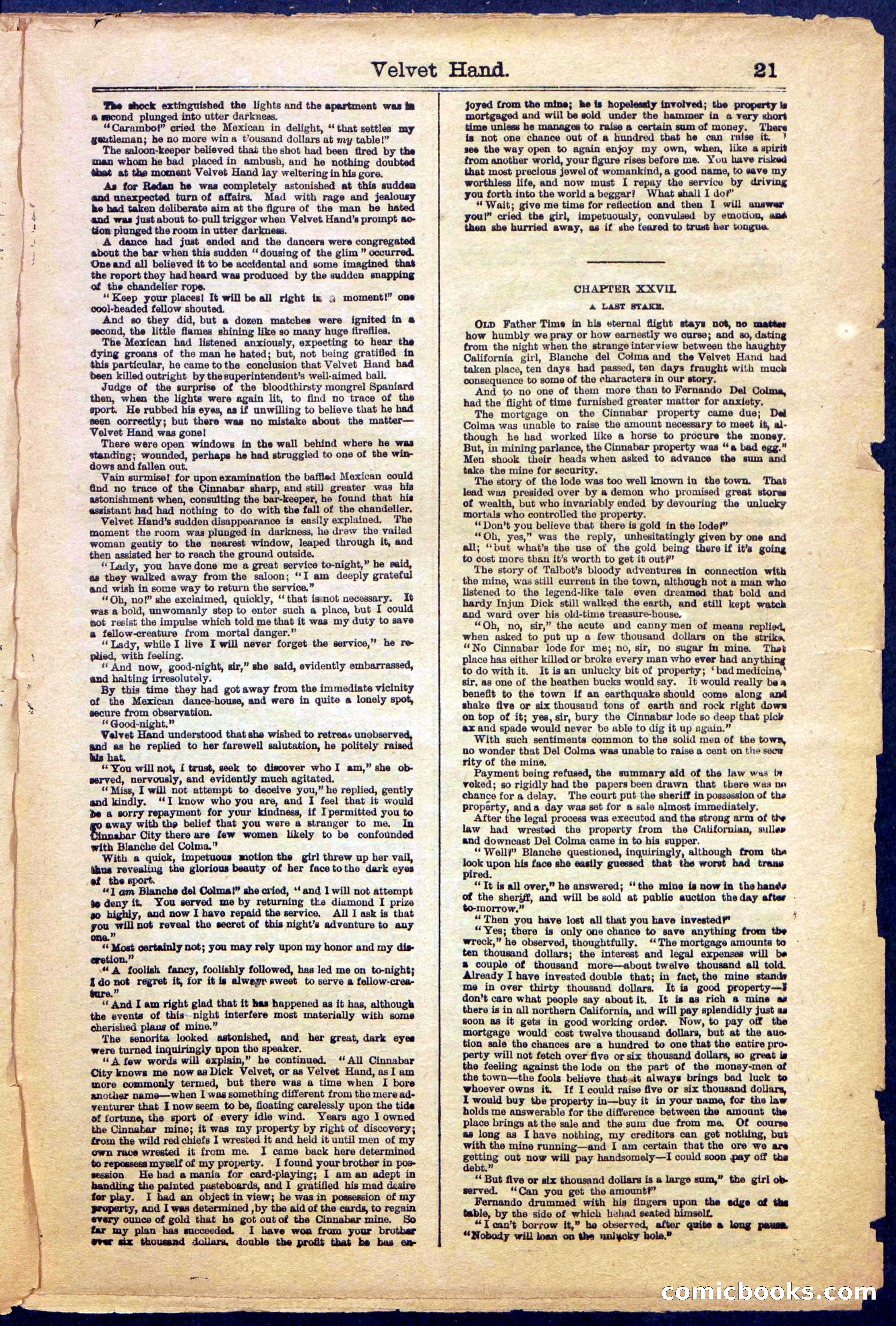 Beadle's New York Dime Library, No. 999 — page 21 of 32
