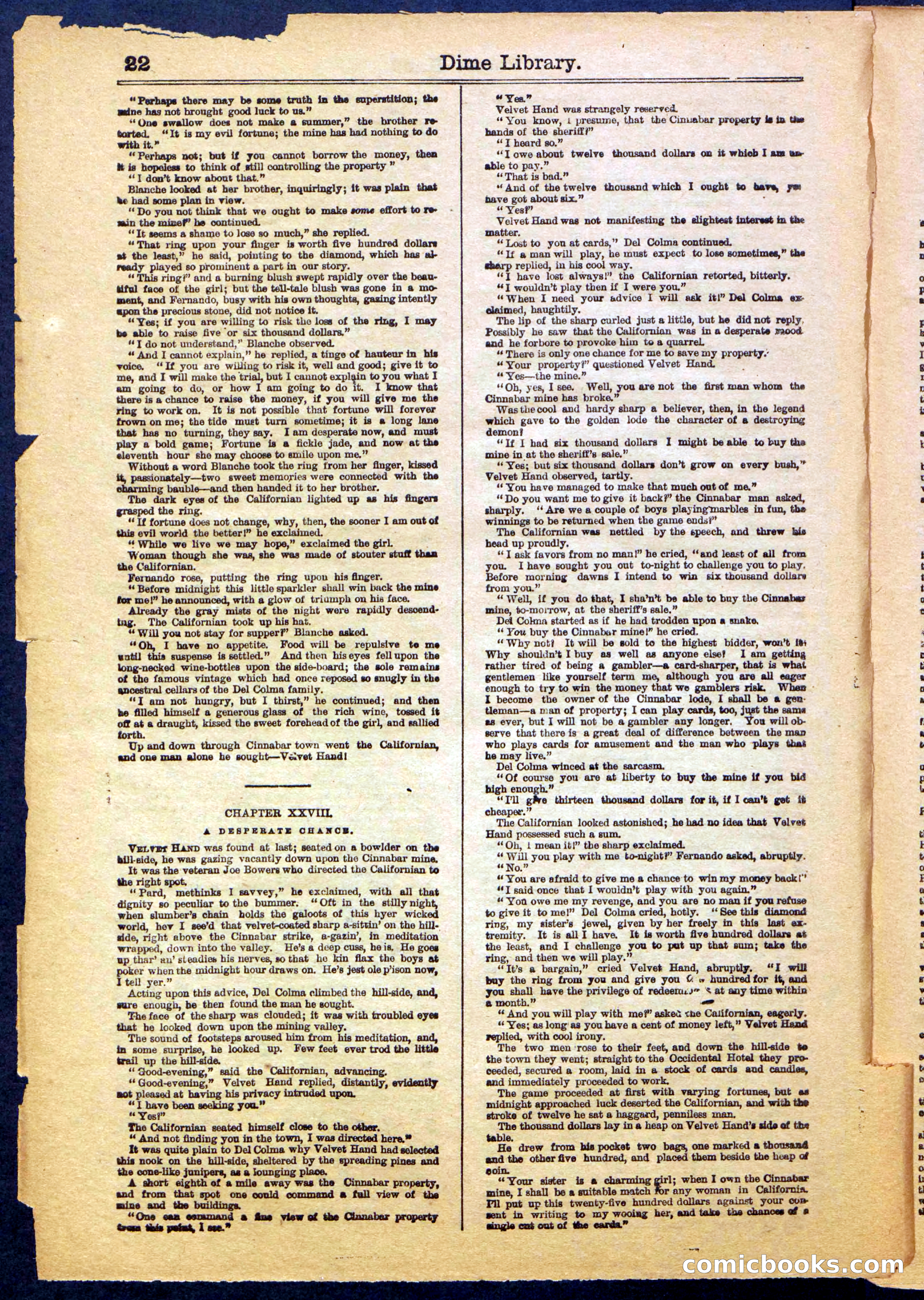 Beadle's New York Dime Library, No. 999 — page 22 of 32