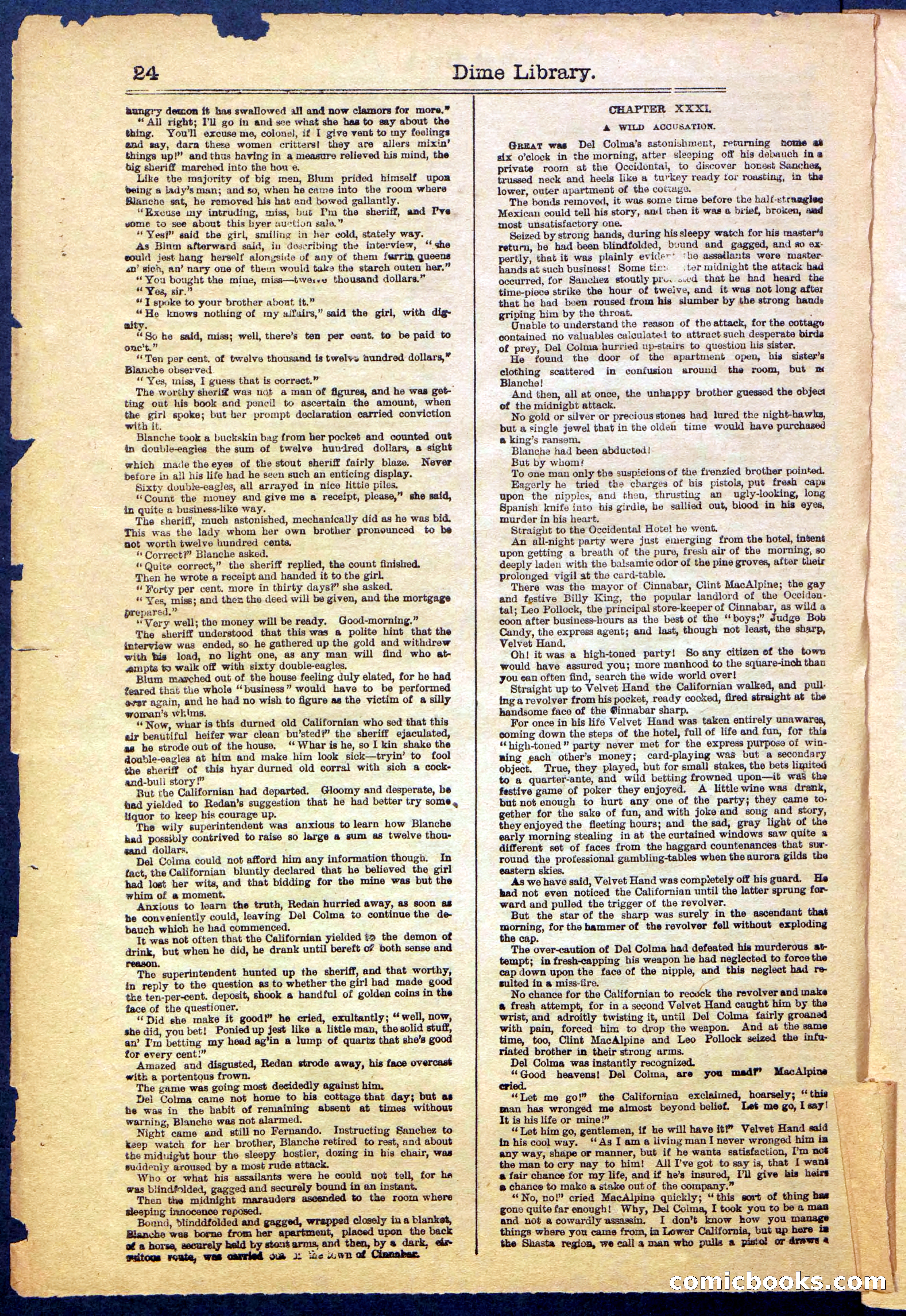 Beadle's New York Dime Library, No. 999 — page 24 of 32