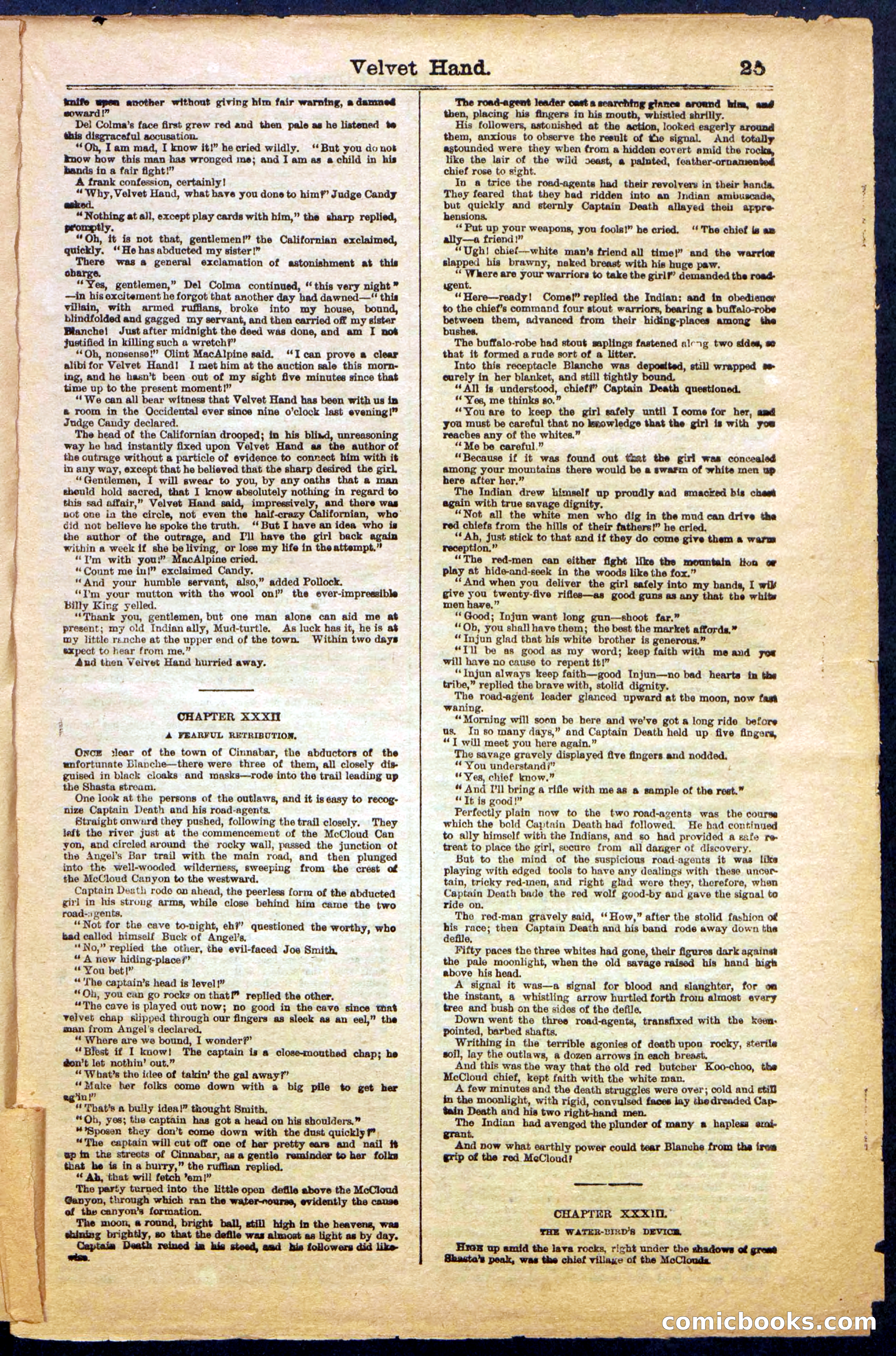 Beadle's New York Dime Library, No. 999 — page 25 of 32