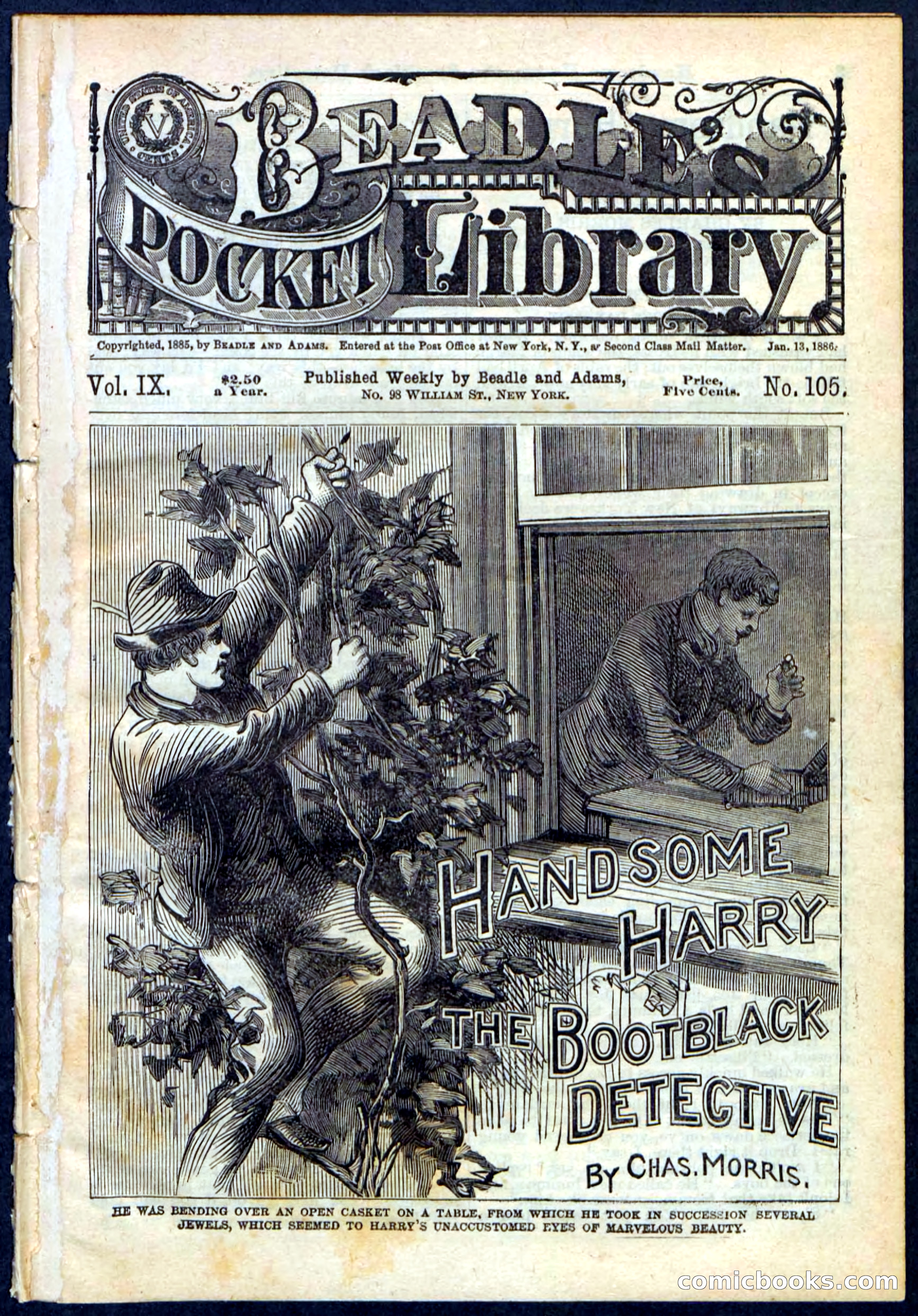 Beadle's Pocket Library, Vol. IX, No. 105 — page 1 of 32
